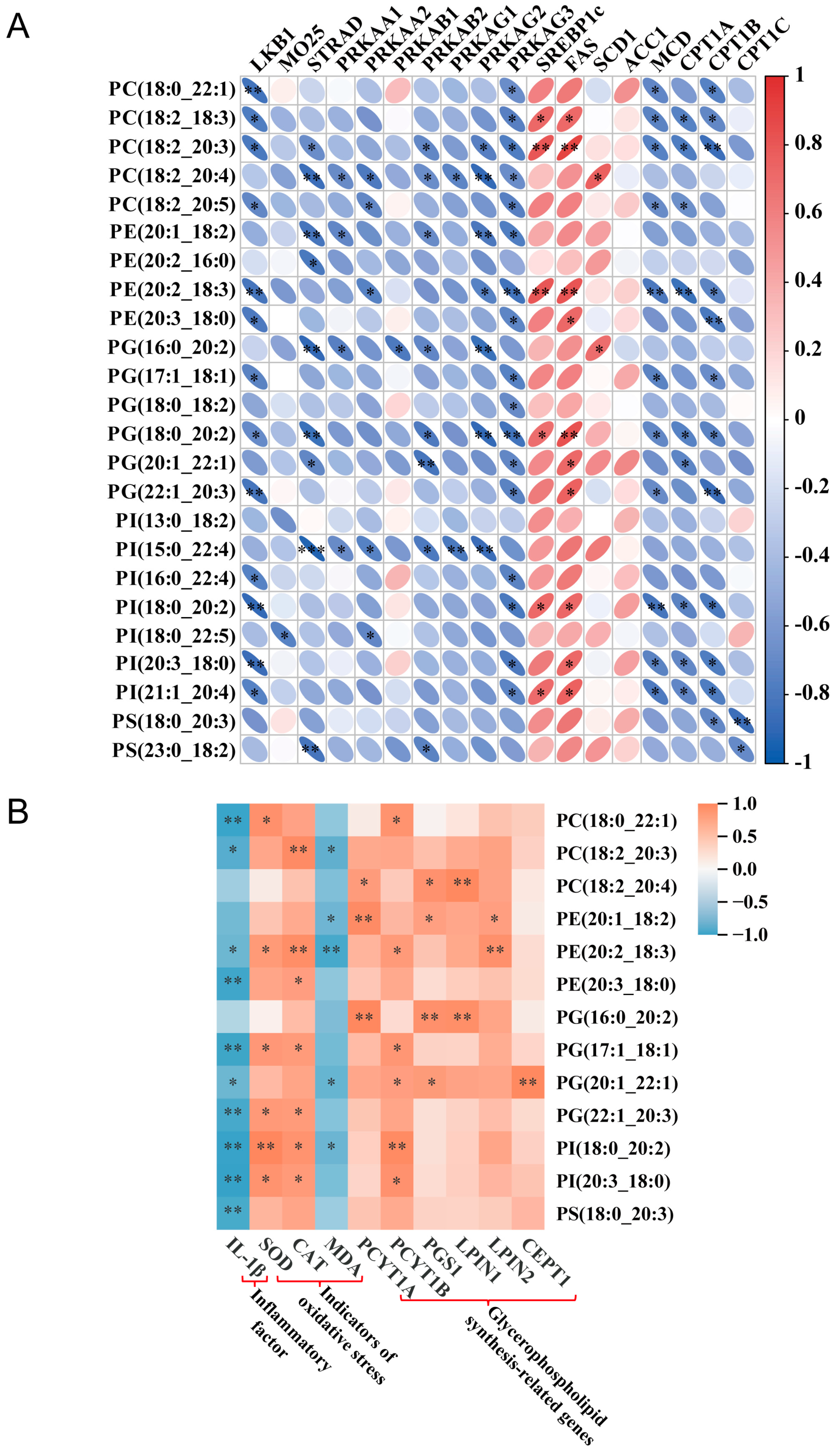 Biomolecules 15 00707 g006
