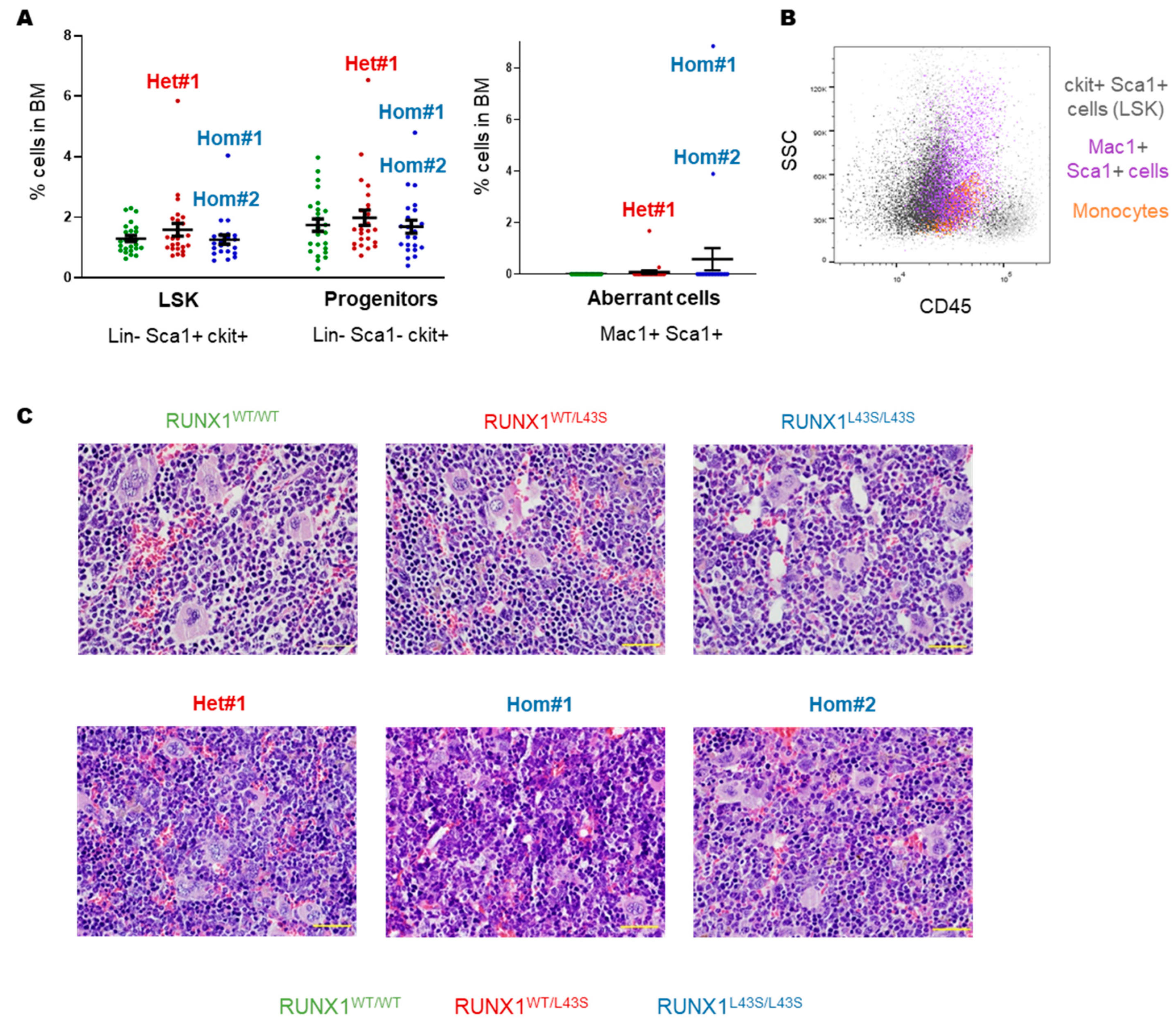 Biomolecules 15 00708 g002