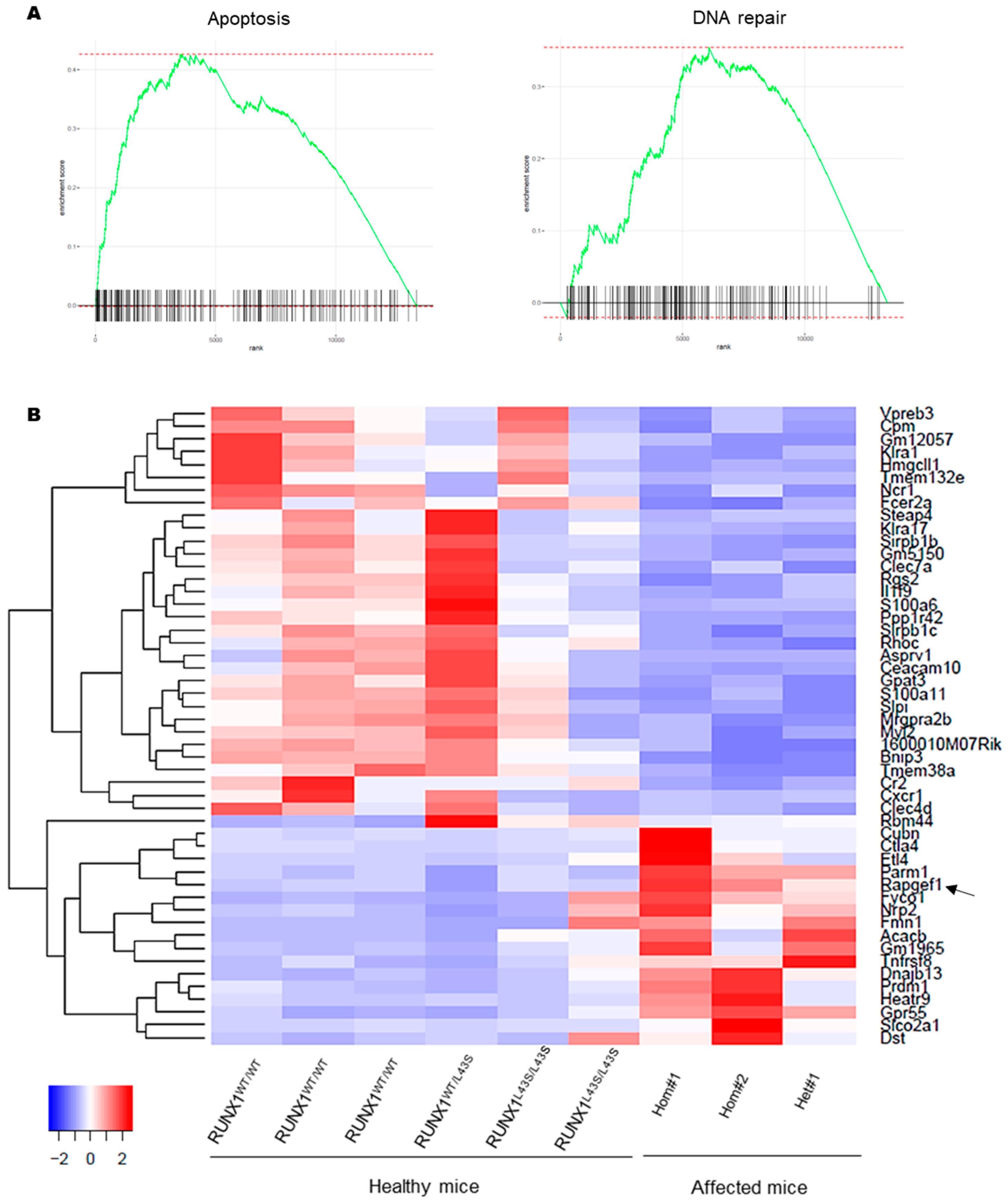 Biomolecules 15 00708 g005