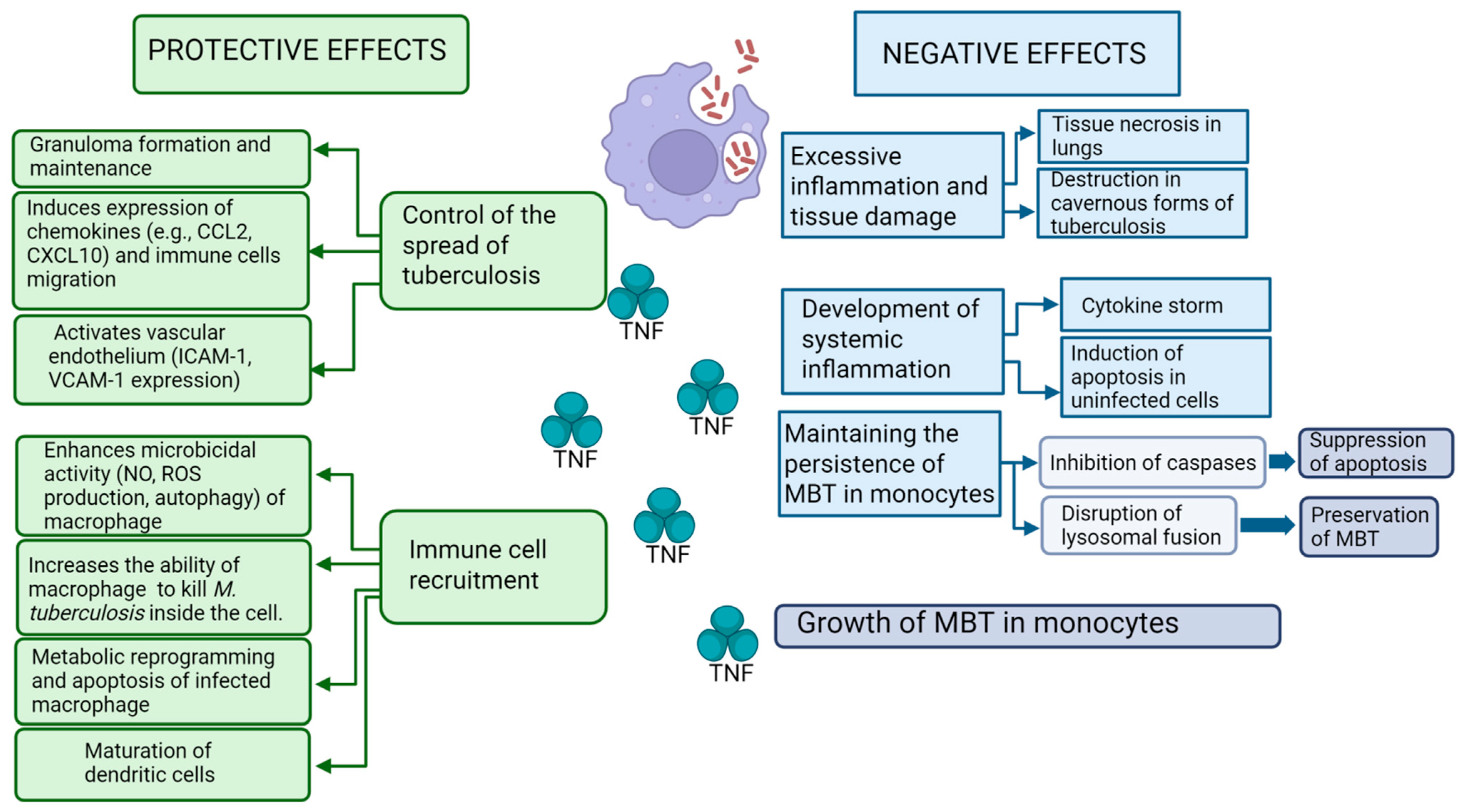 Biomolecules 15 00709 g001
