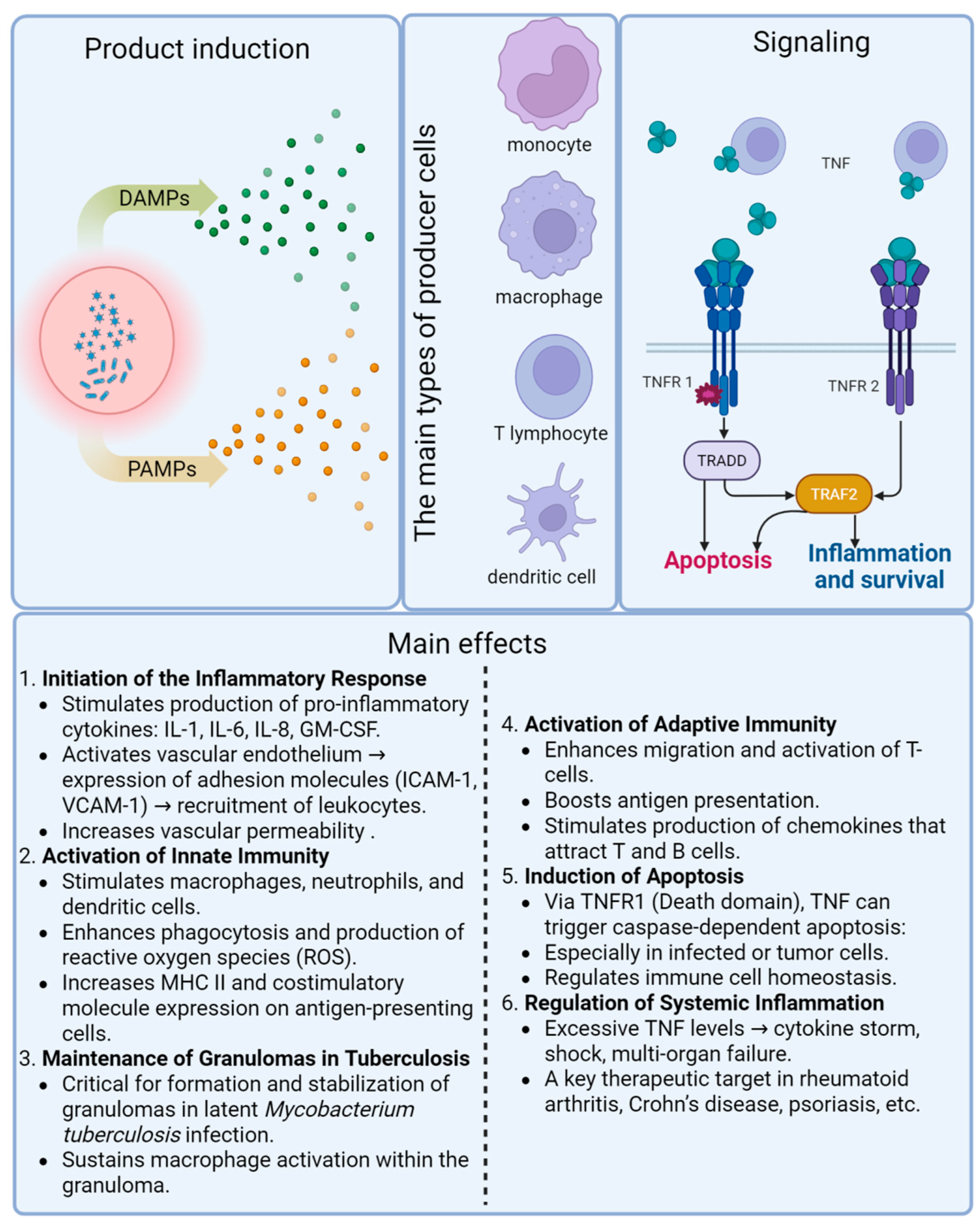 Biomolecules 15 00709 g002