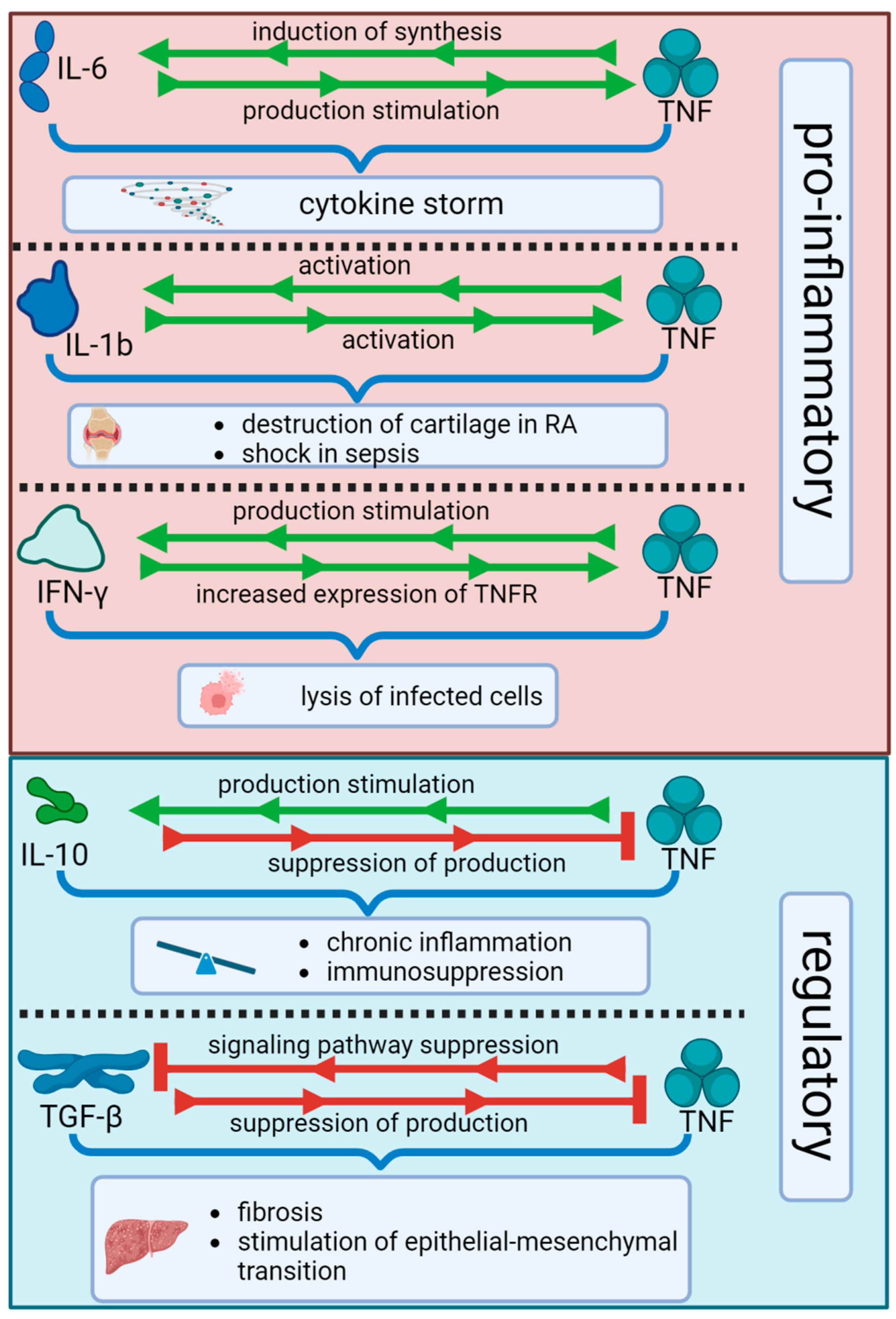 Biomolecules 15 00709 g003