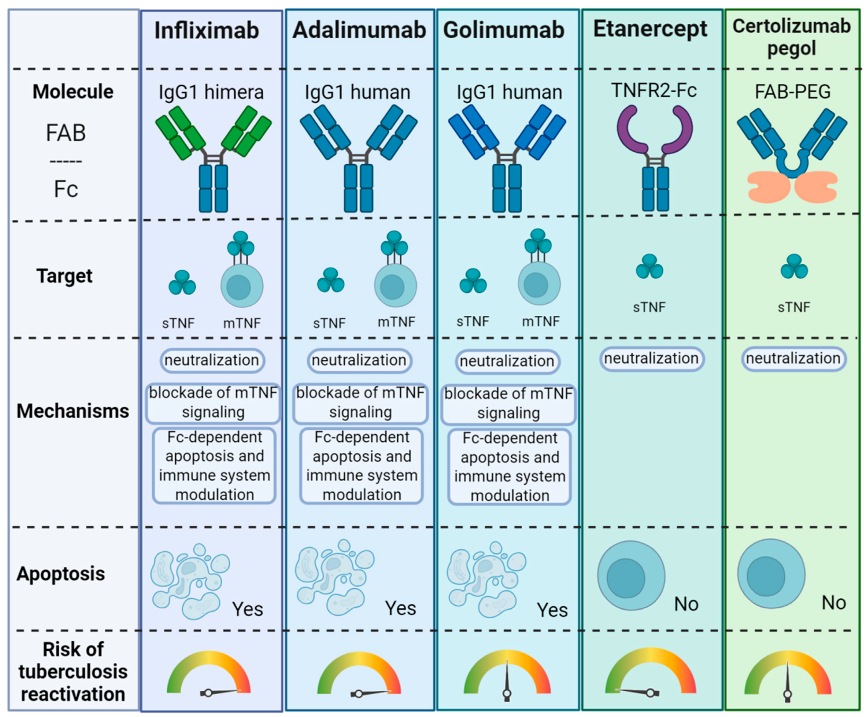 Biomolecules 15 00709 g004
