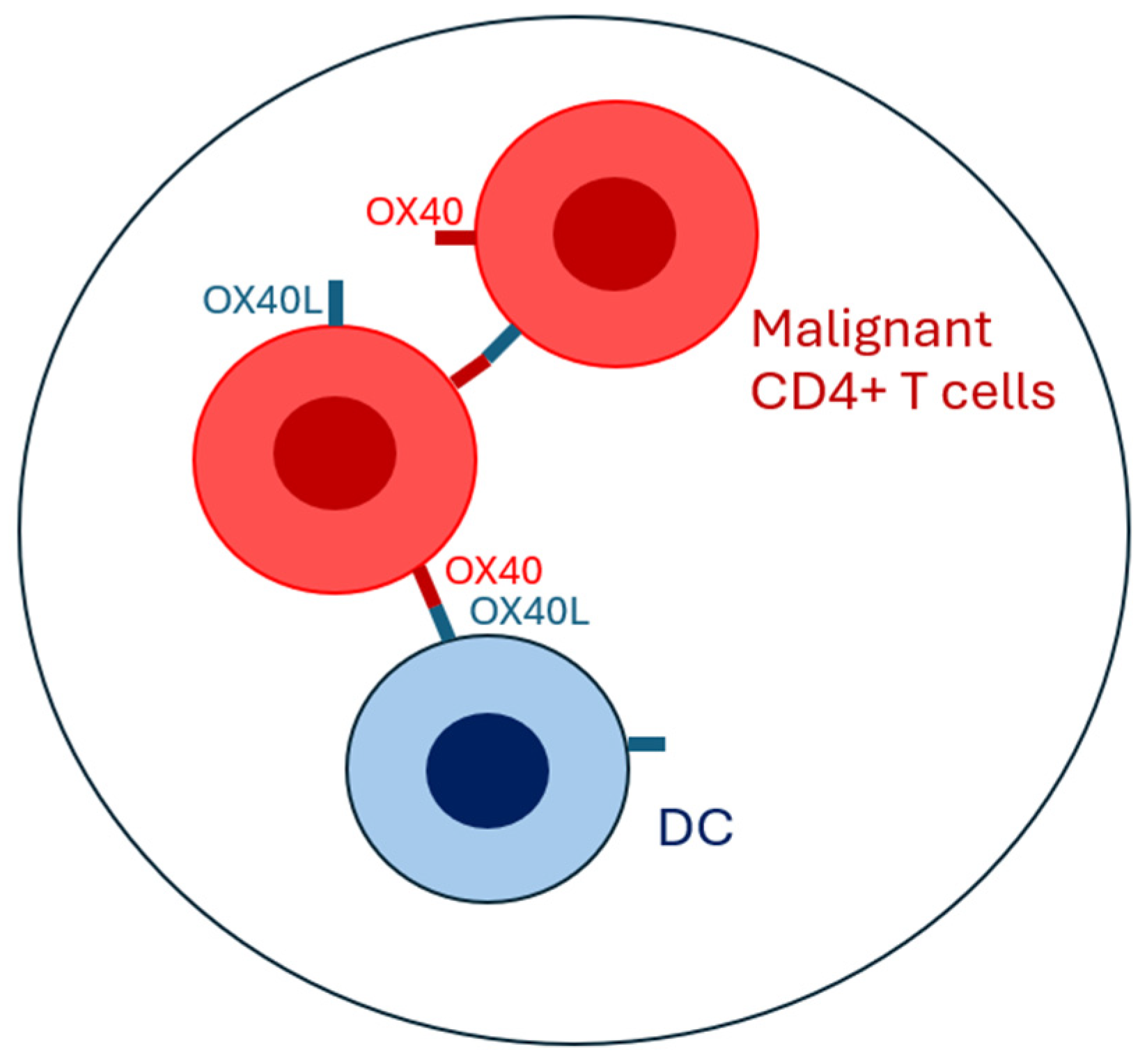 Biomolecules 15 00715 g001