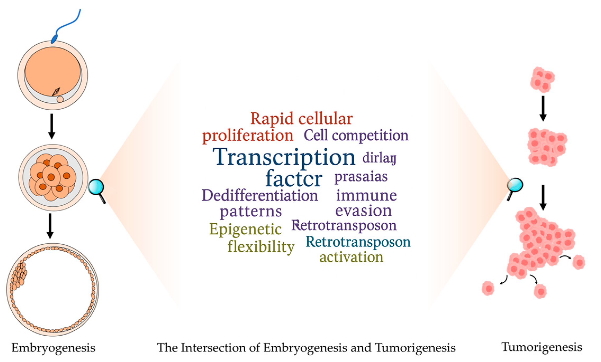 Biomolecules 15 00721 g001