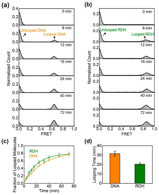 Biomolecules 15 00724 g002