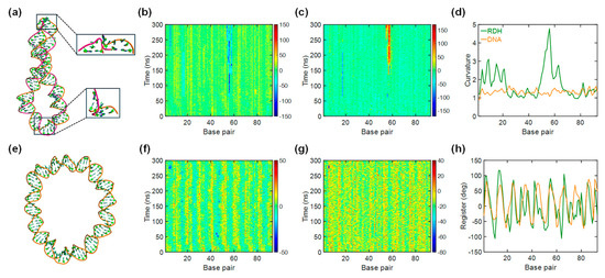 Biomolecules 15 00724 g004