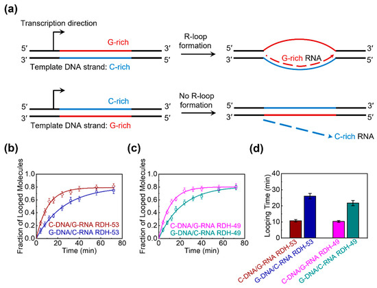 Biomolecules 15 00724 g005