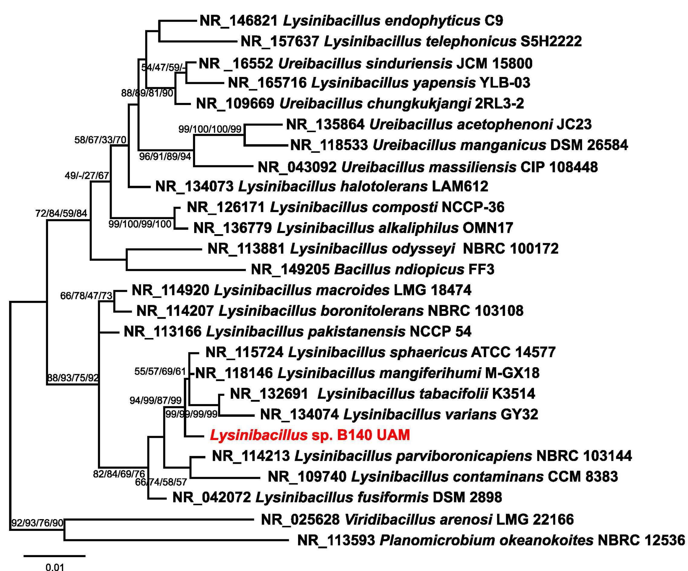 Biomolecules 15 00731 g001