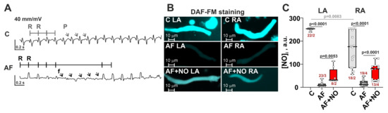 Biomolecules 15 00735 g001