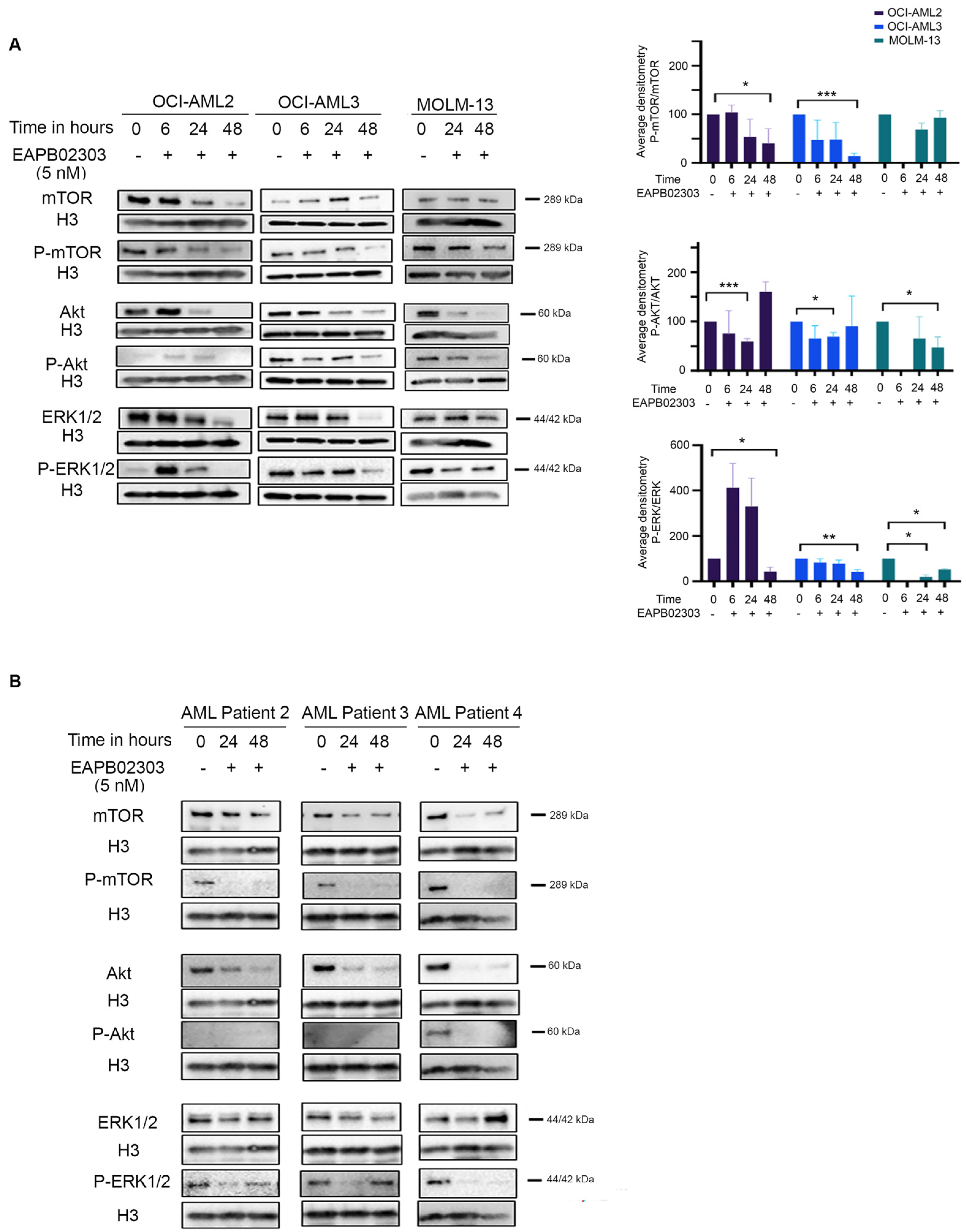 Biomolecules 15 00741 g003