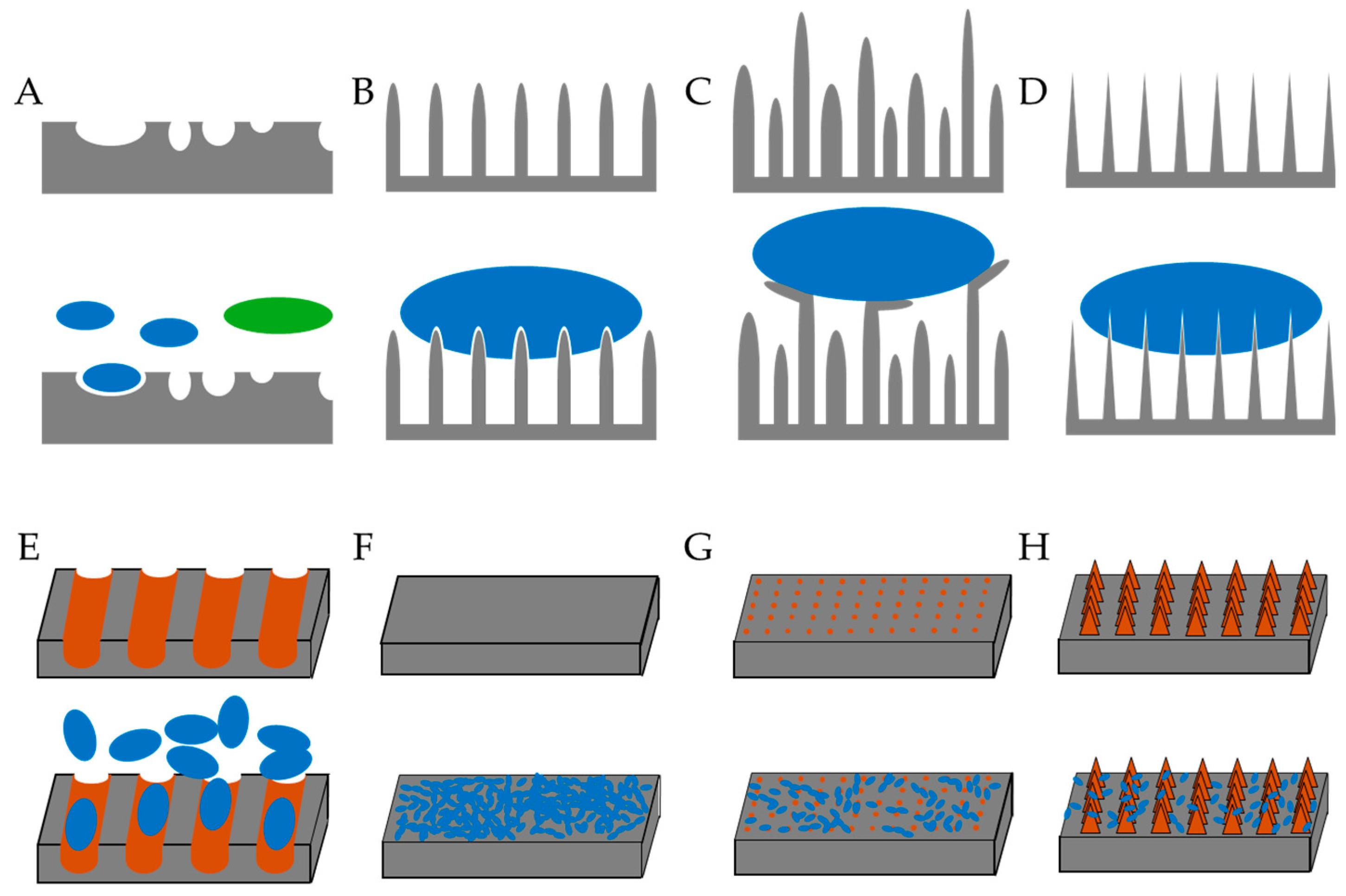Biomolecules 15 00754 g002