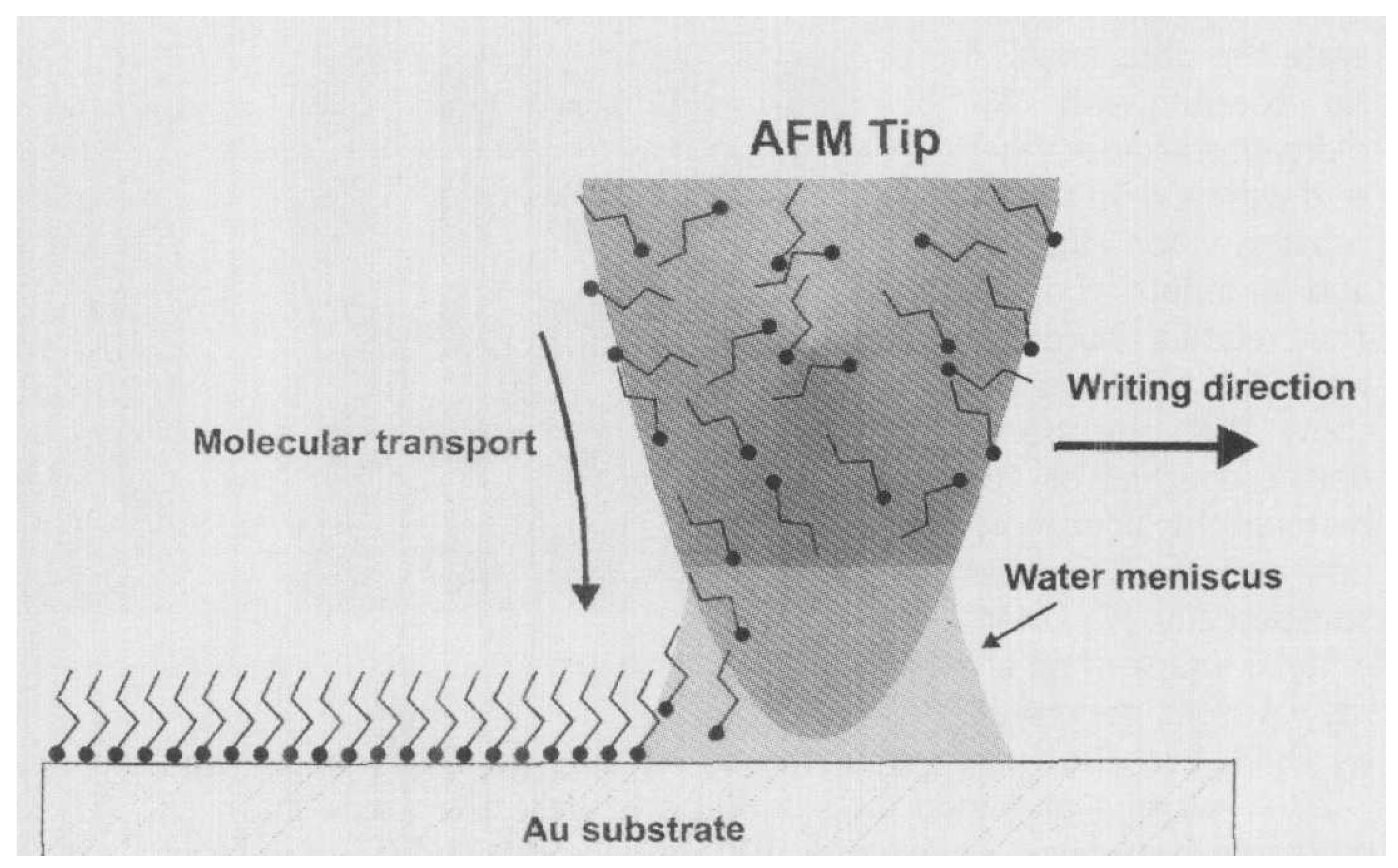 Biomolecules 15 00754 g003