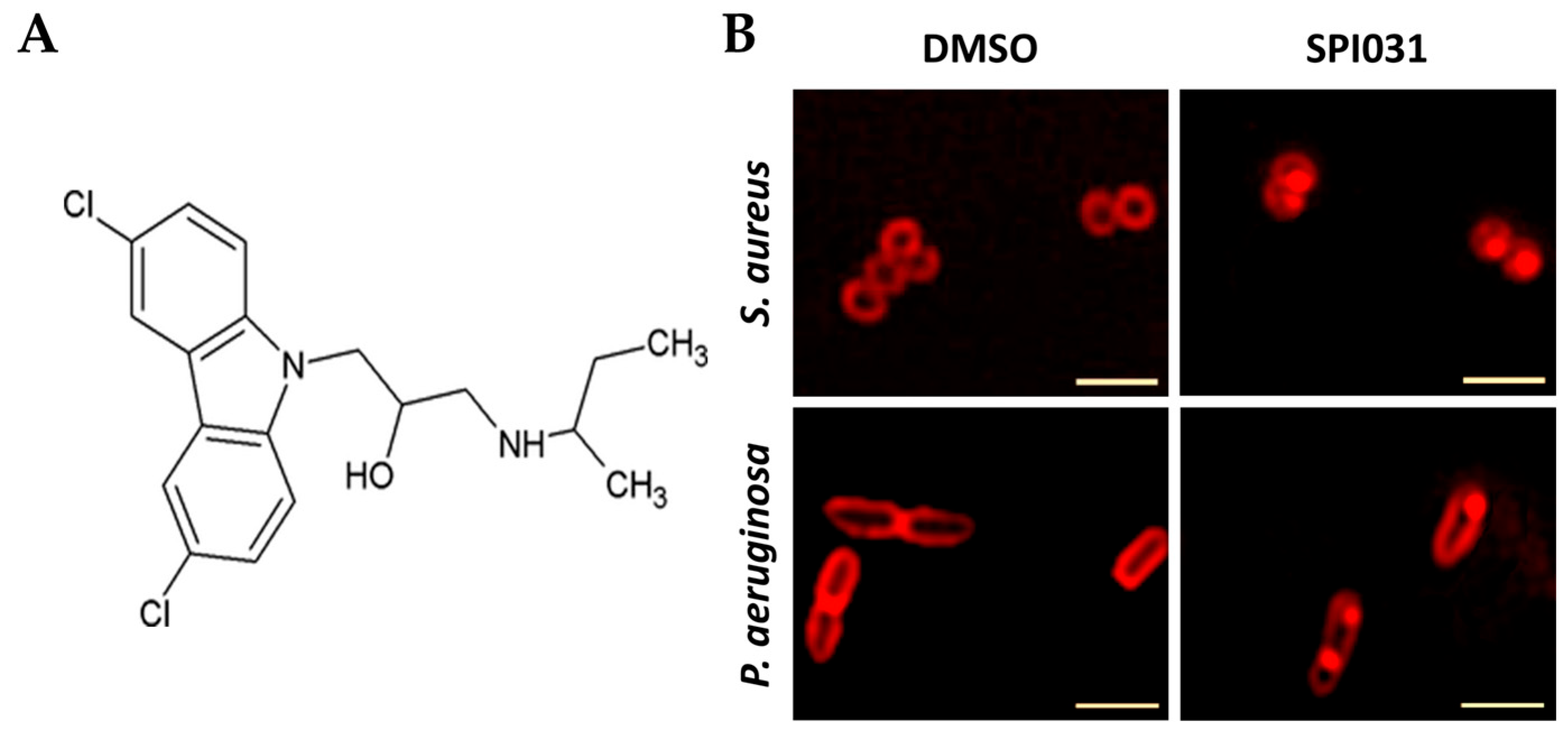 Biomolecules 15 00754 g011