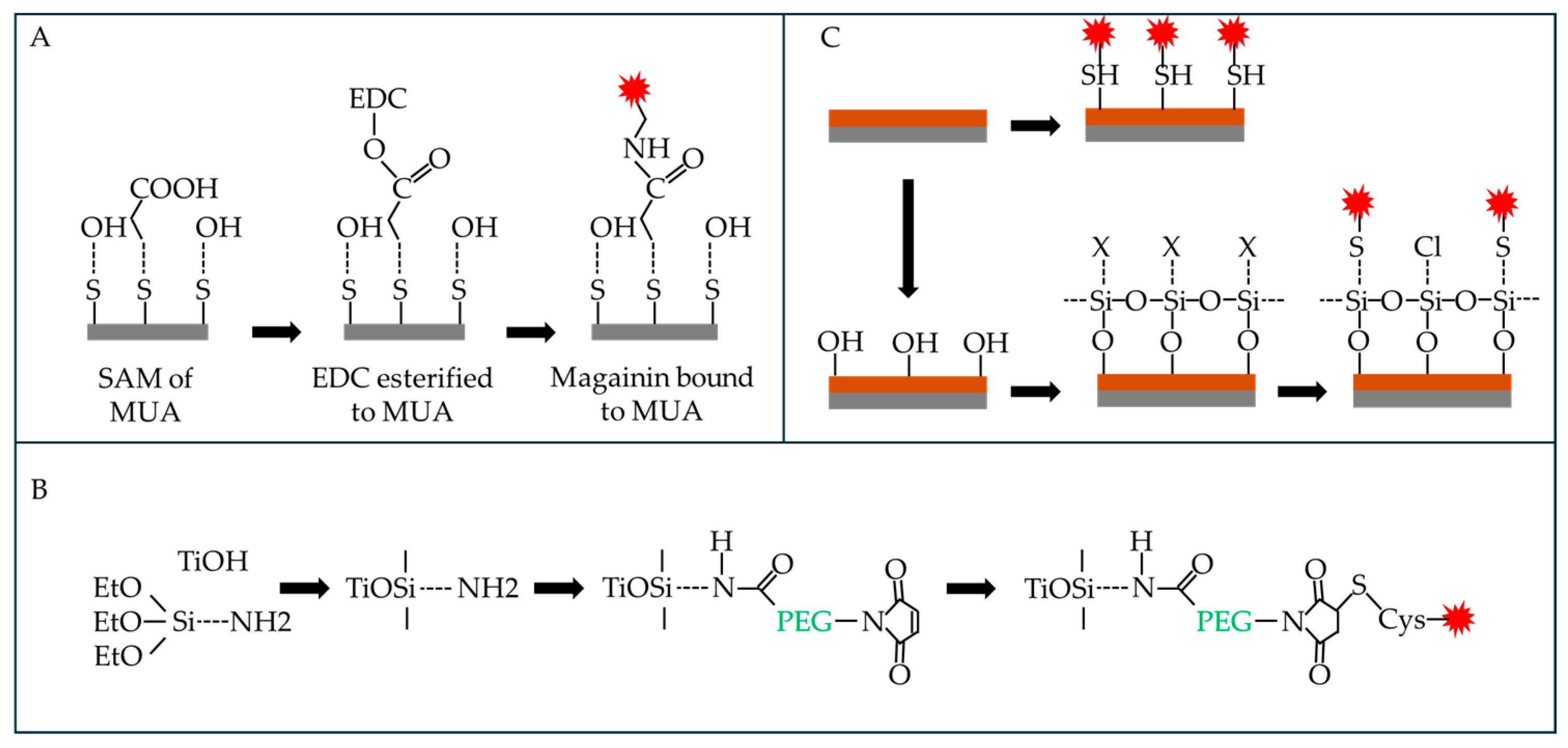 Biomolecules 15 00754 g012