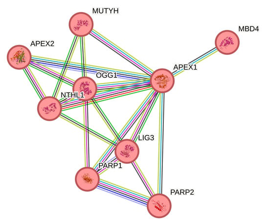 Biomolecules 15 00756 g004