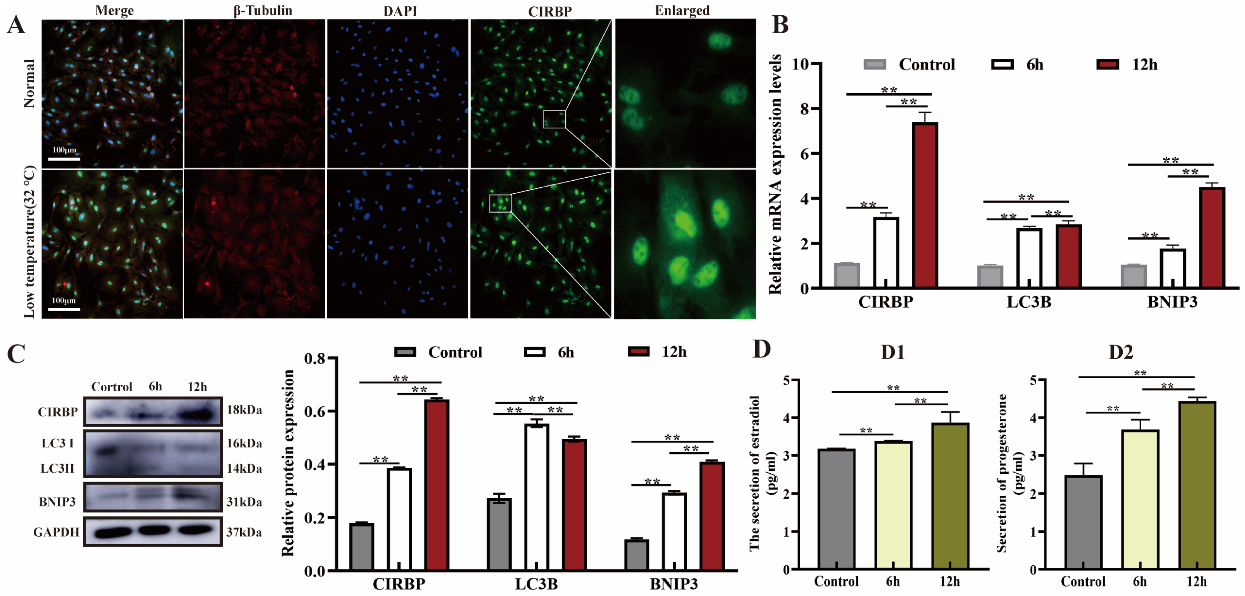 Biomolecules 15 00759 g001 Biomolecules 15 00759 g001