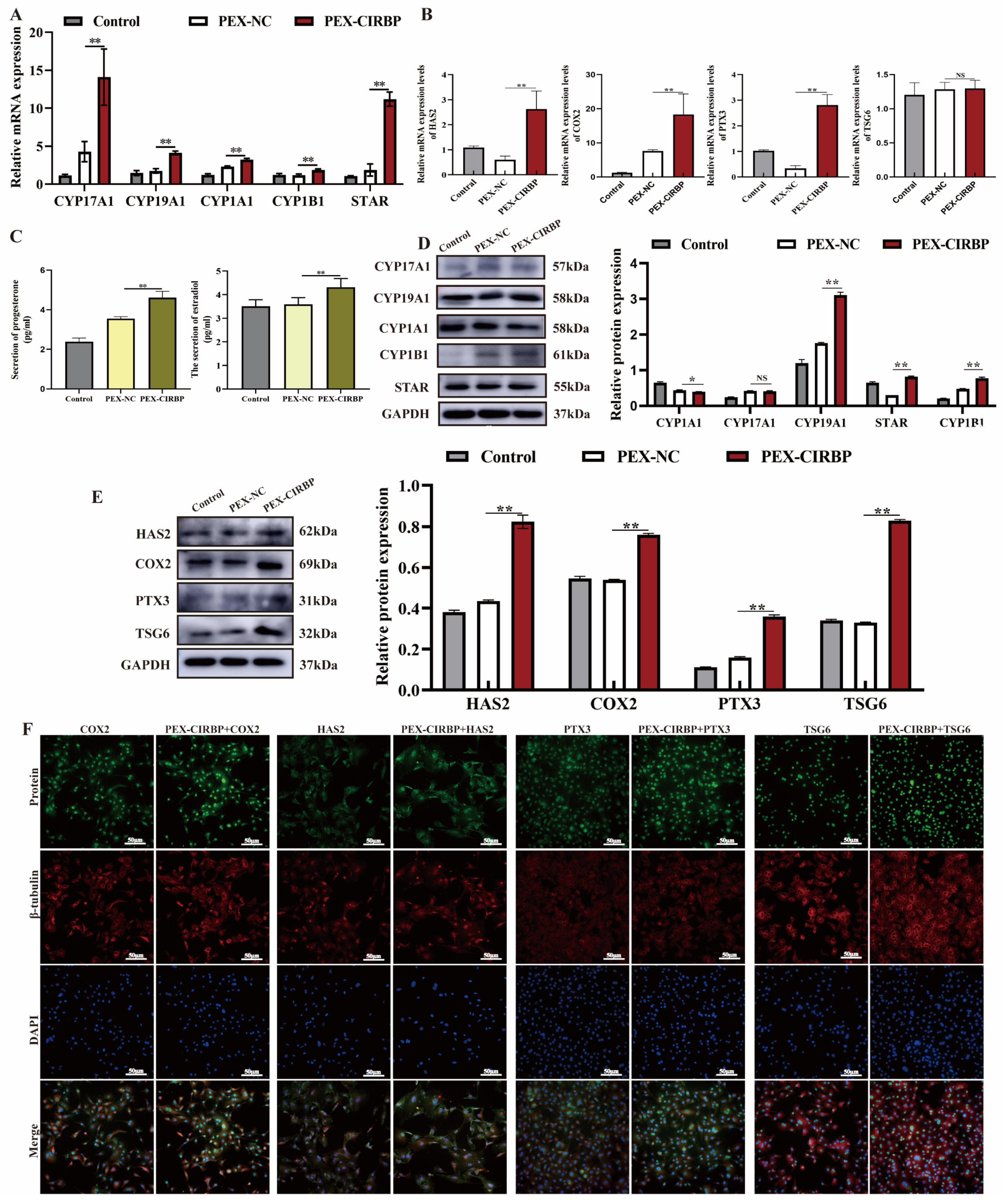 Biomolecules 15 00759 g003 Biomolecules 15 00759 g003