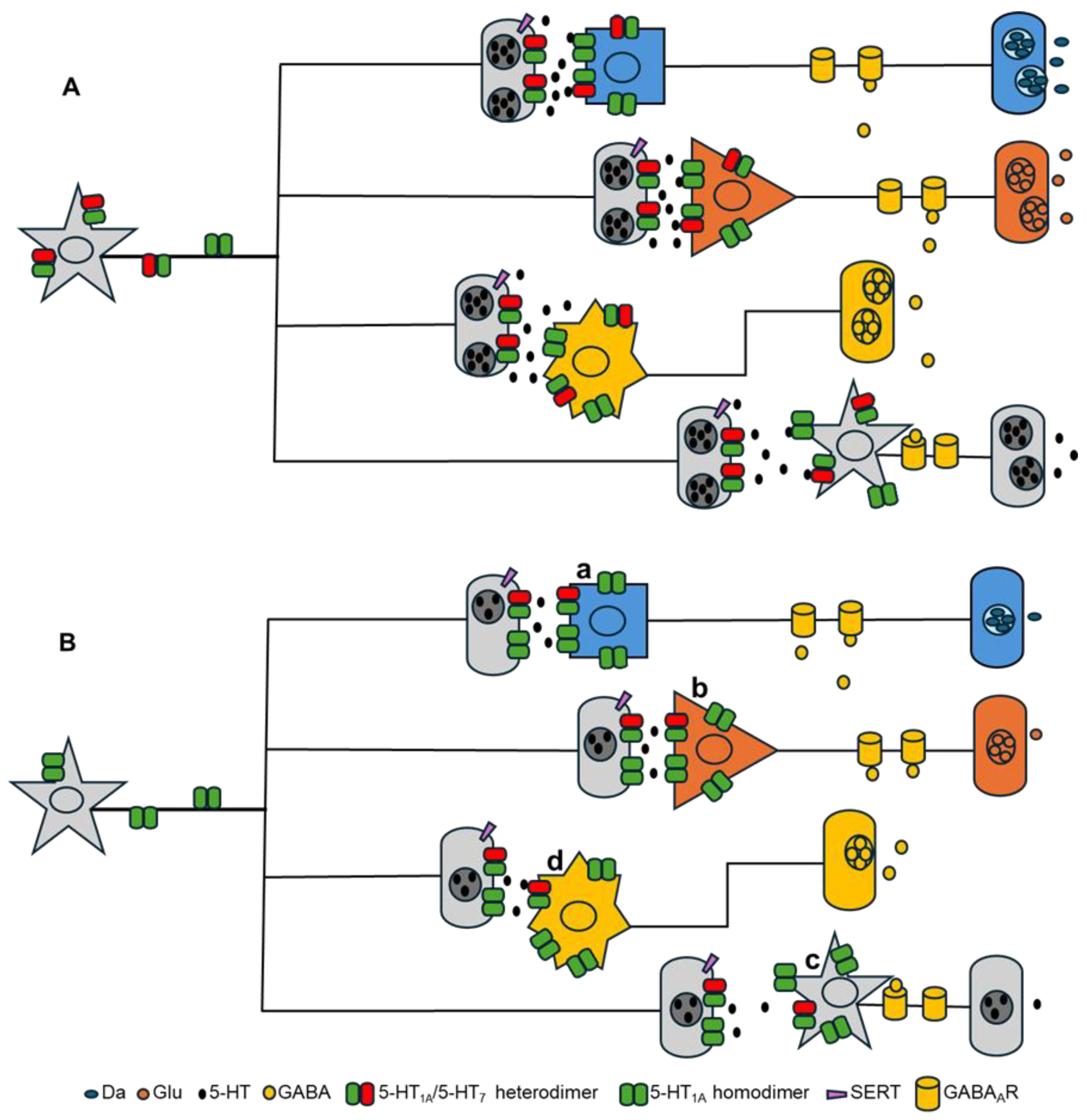 Biomolecules 15 00762 g003 Biomolecules 15 00762 g003