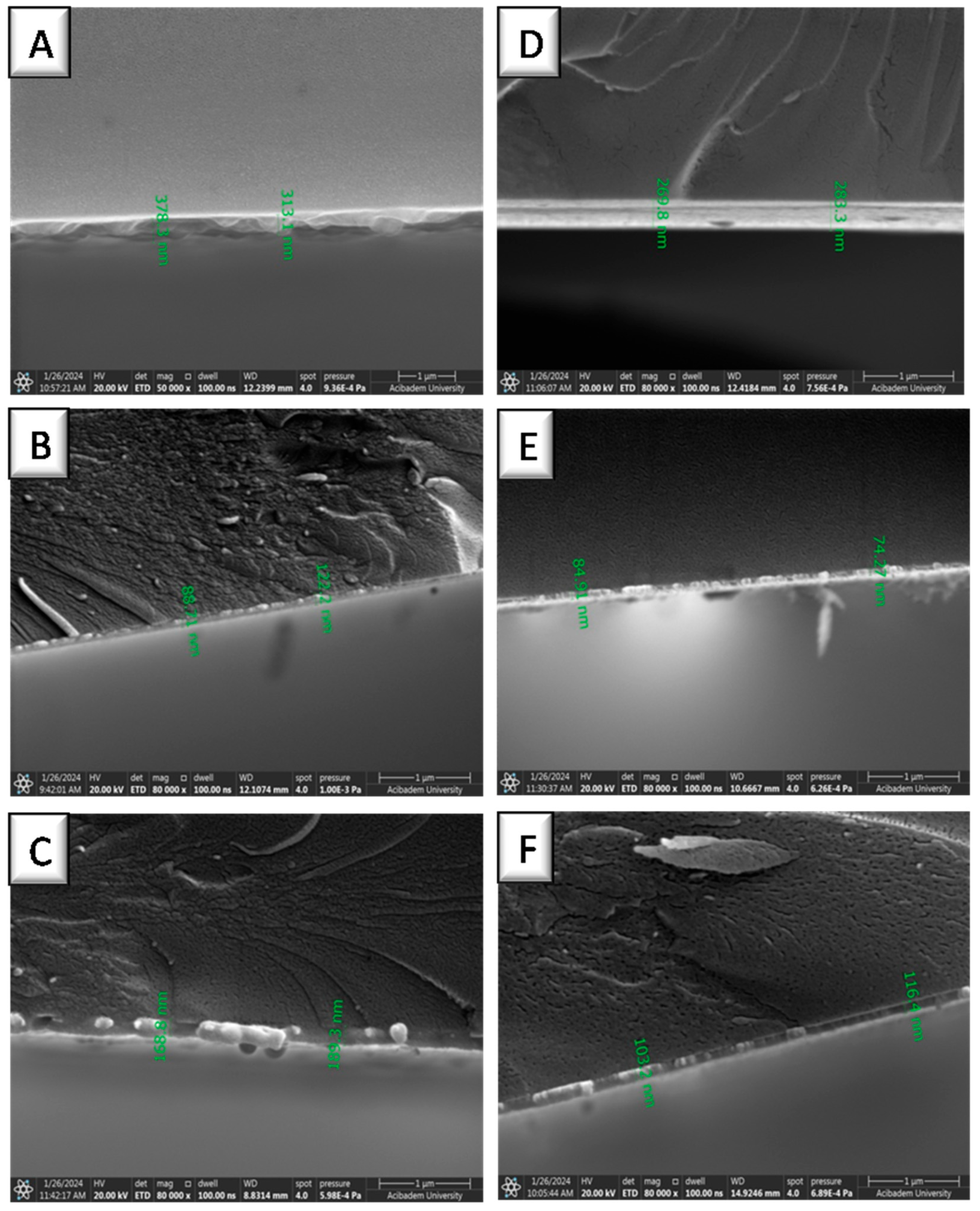 Biomolecules 15 00767 g003