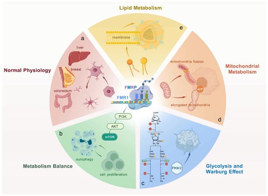 Biomolecules 15 00779 g001