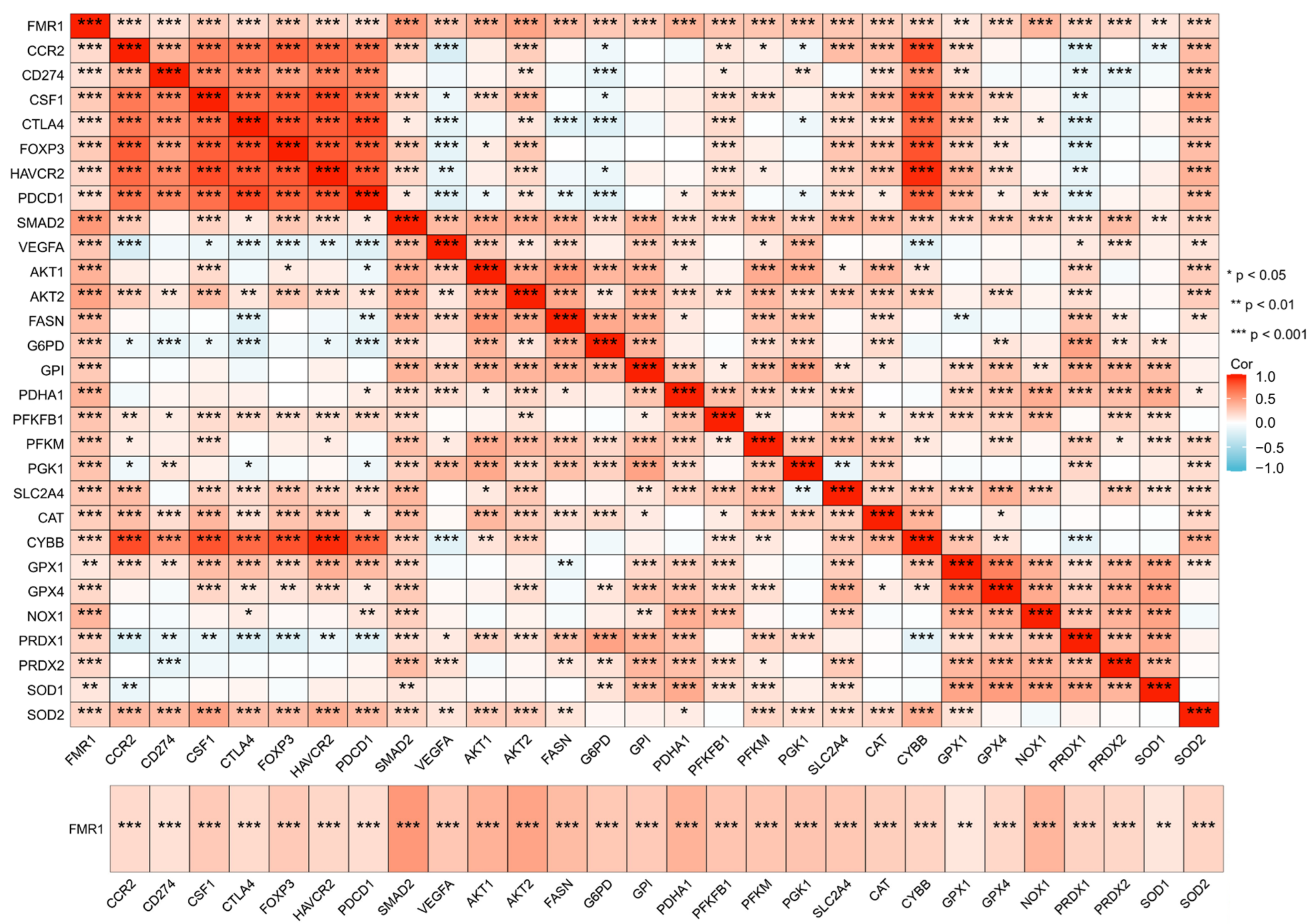 Biomolecules 15 00779 g003