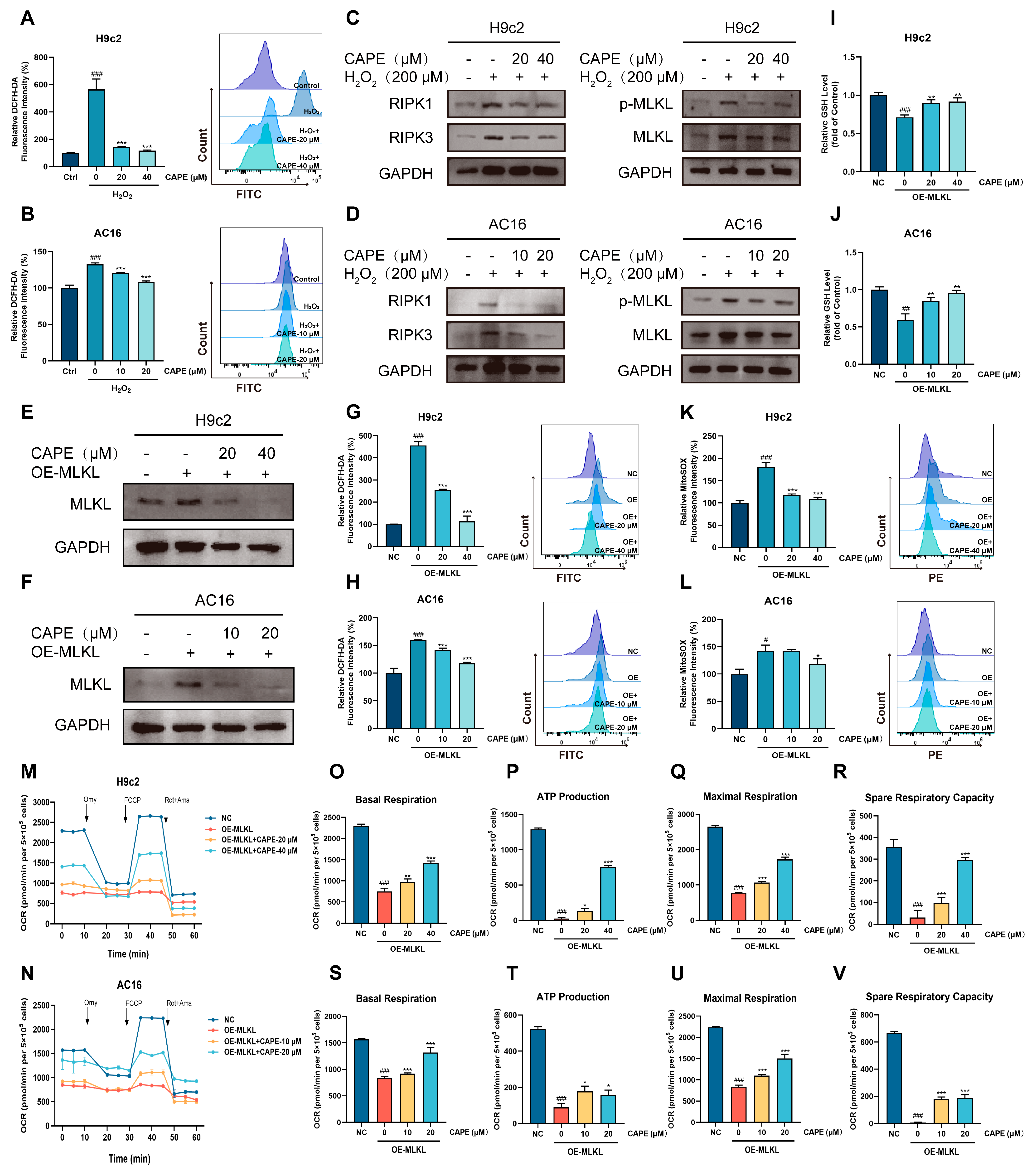 Biomolecules 15 00783 g007