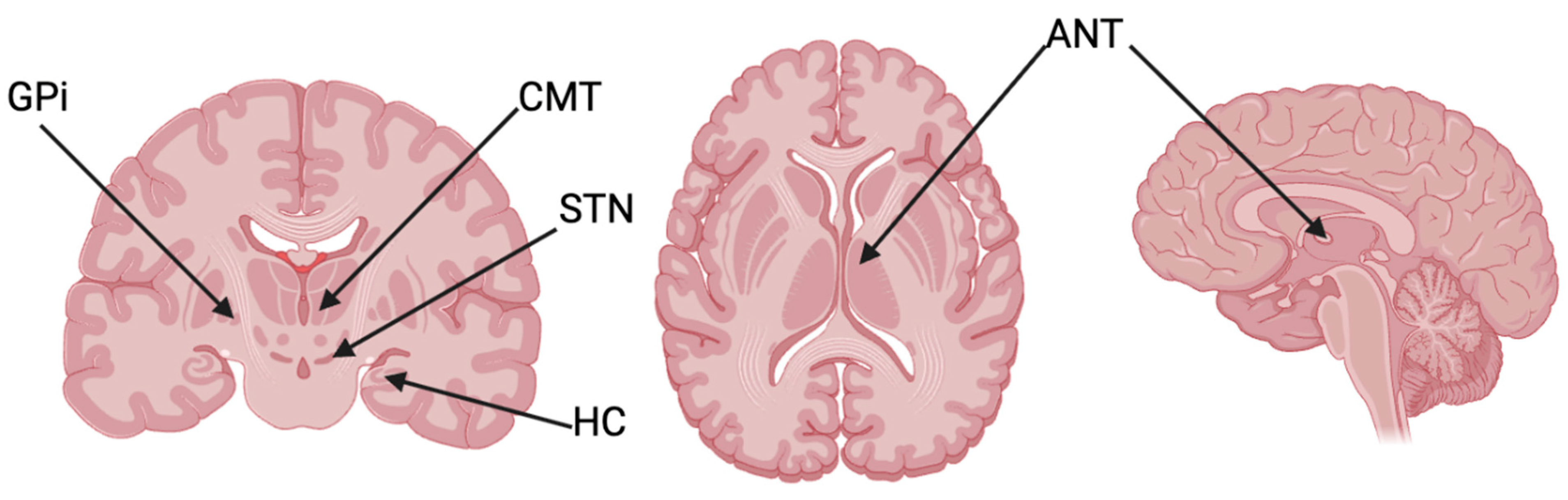 Biomolecules 15 00784 g001
