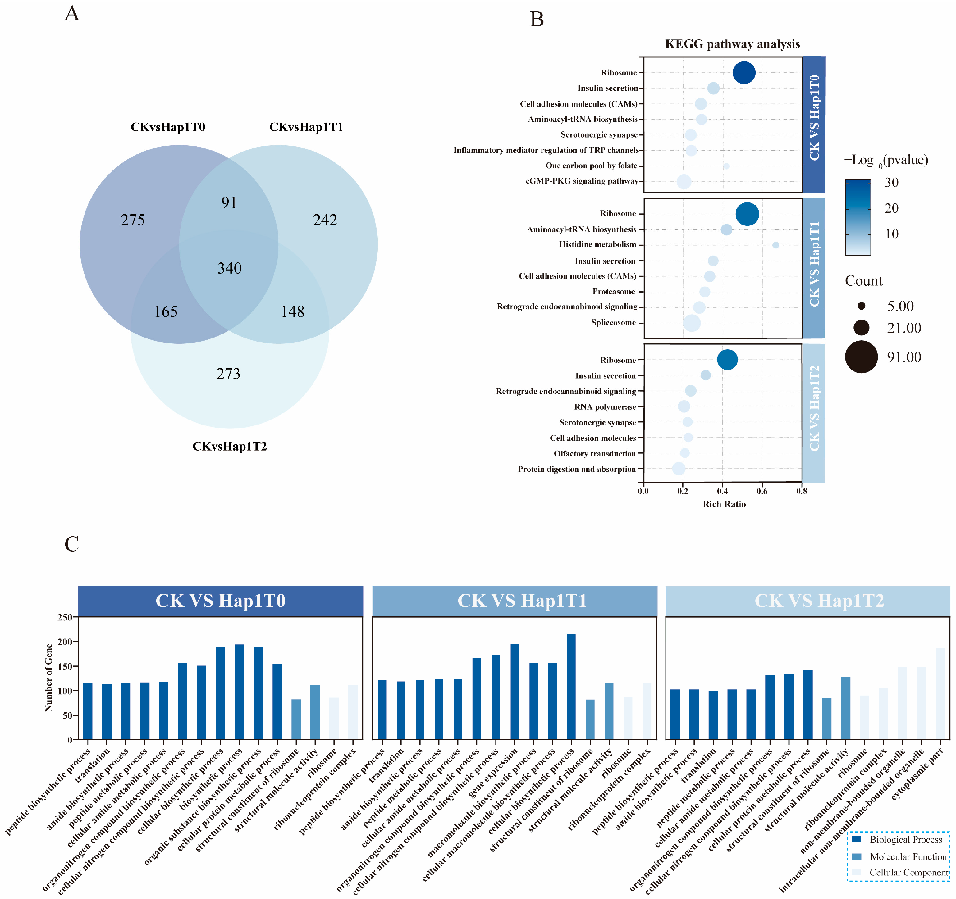 Biomolecules 15 00791 g003