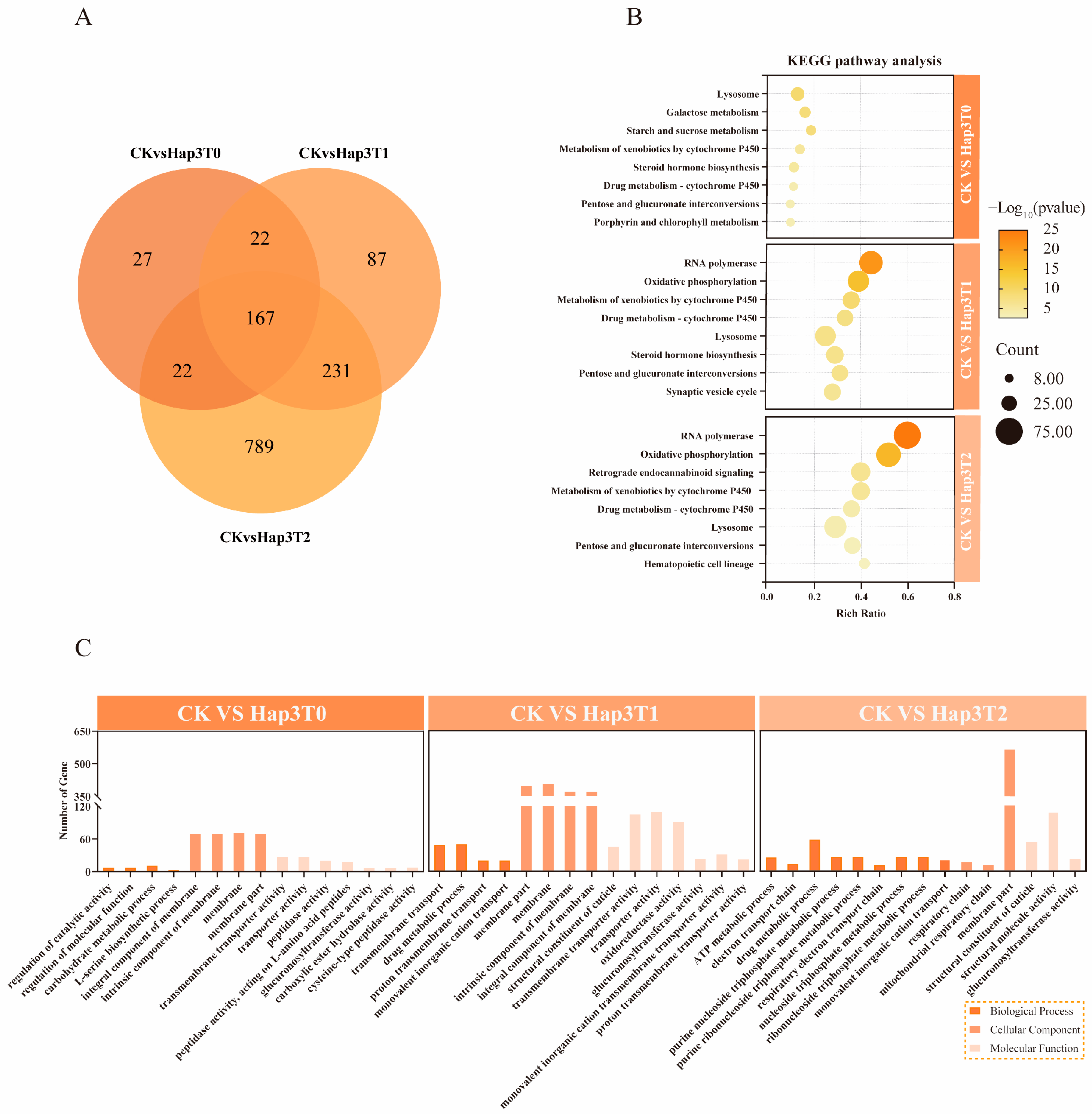 Biomolecules 15 00791 g004