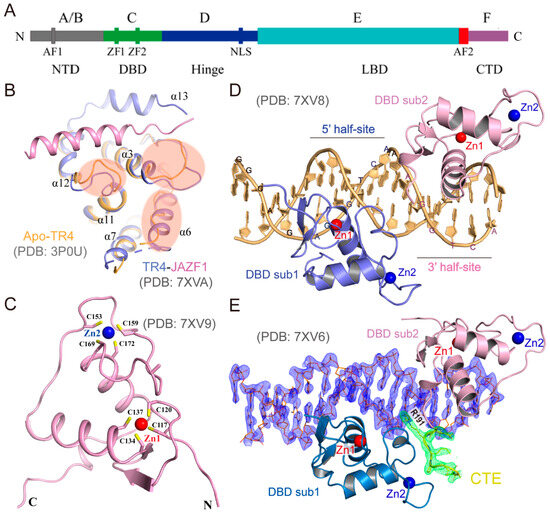 Biomolecules 15 00798 g001