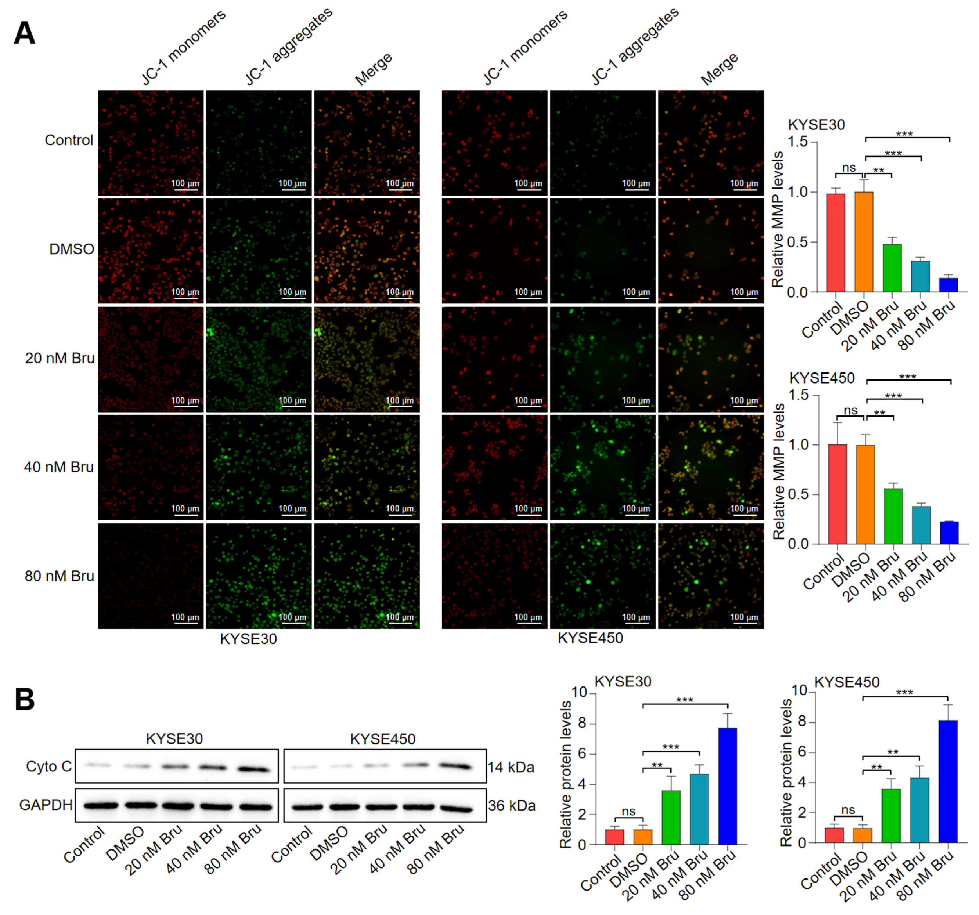 Biomolecules 15 00812 g002