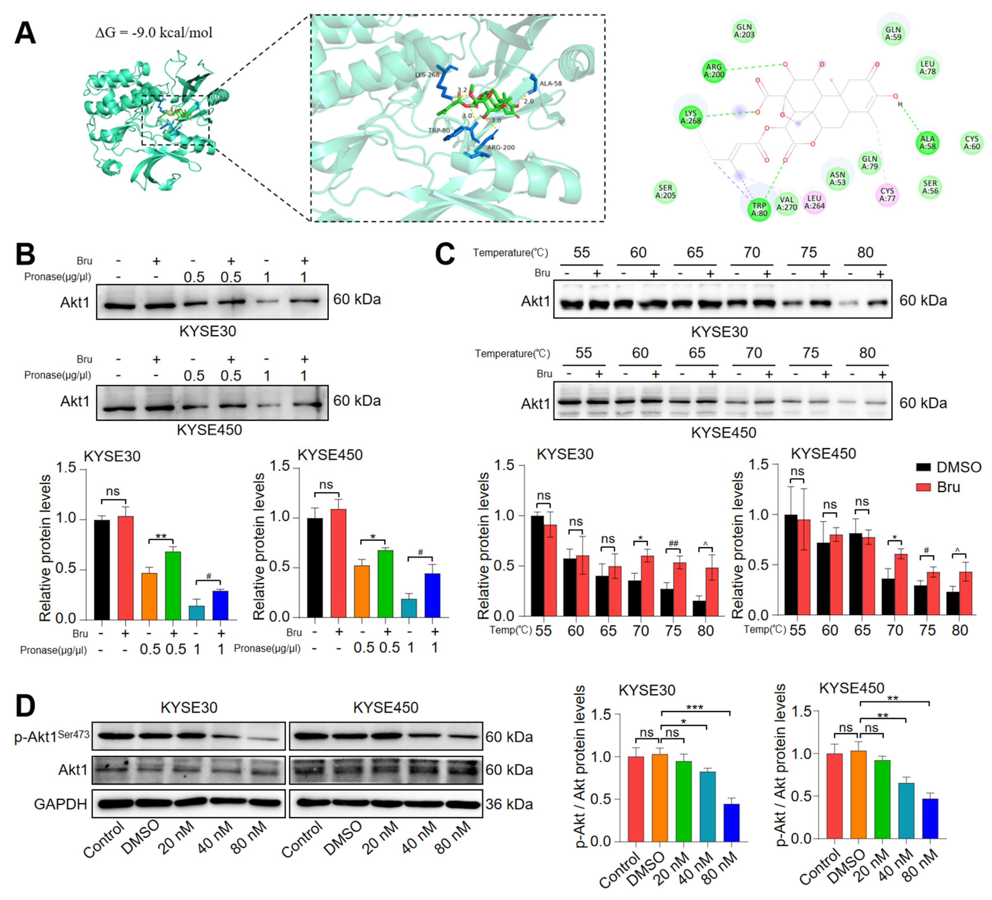 Biomolecules 15 00812 g005