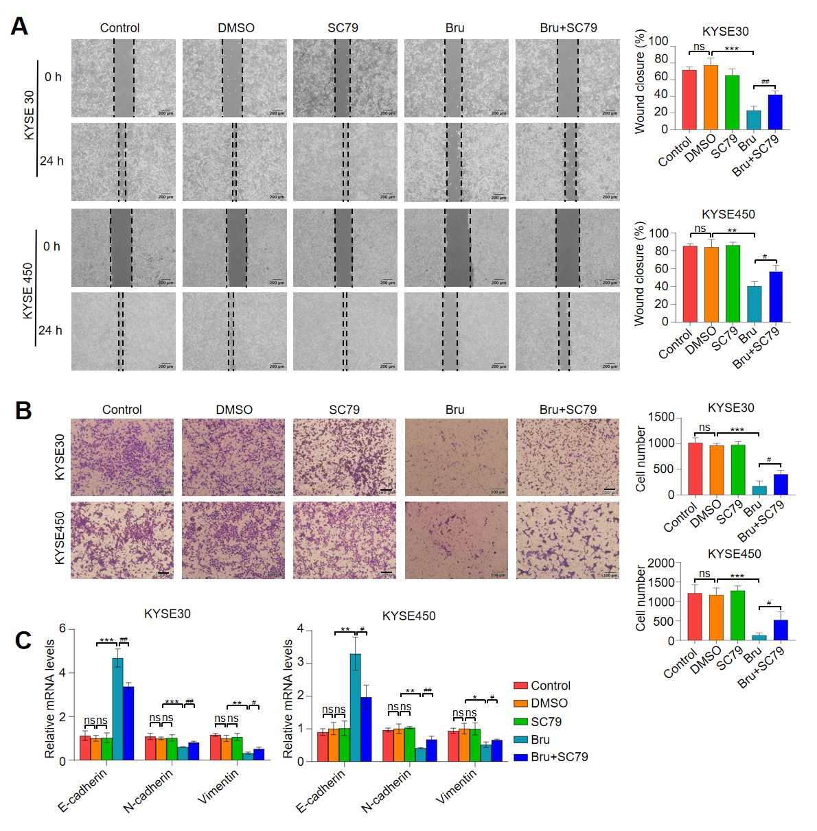 Biomolecules 15 00812 g007