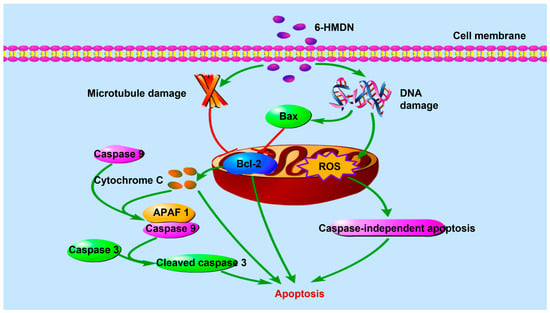 Biomolecules 15 00814 sch001