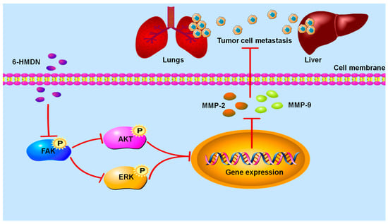 Biomolecules 15 00814 sch002