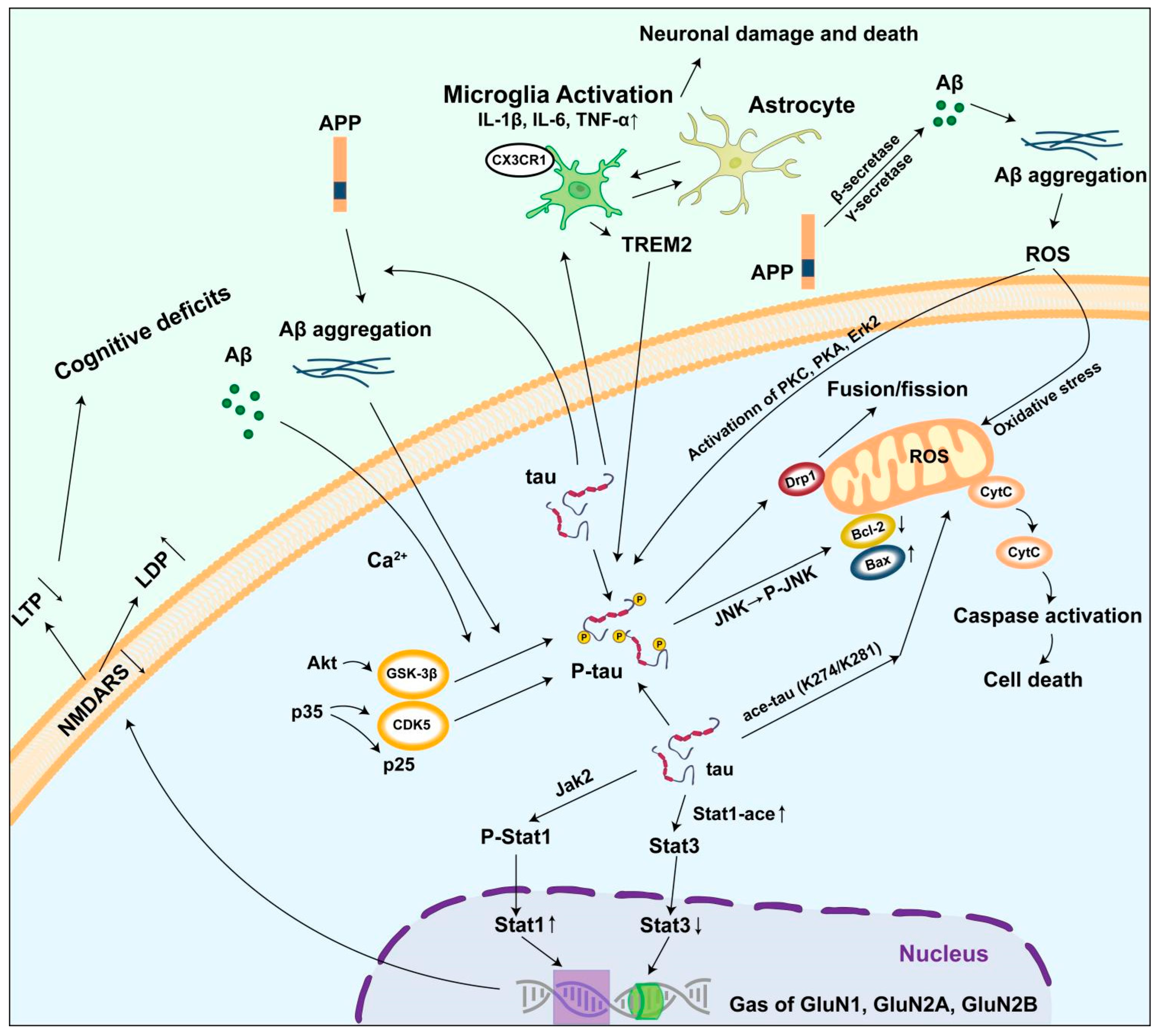 Biomolecules 15 00824 g003