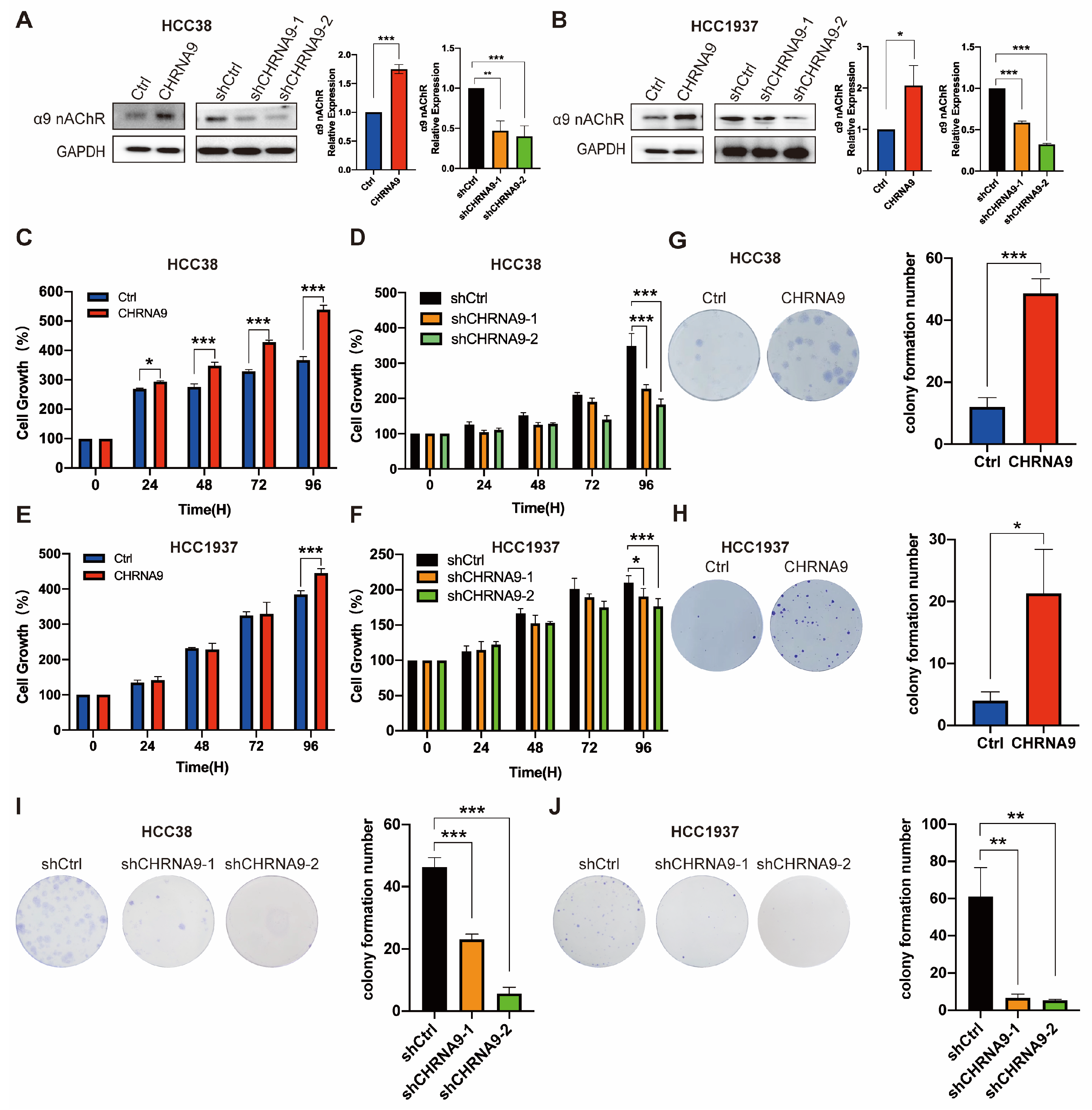 Biomolecules 15 00835 g002 Biomolecules 15 00835 g002