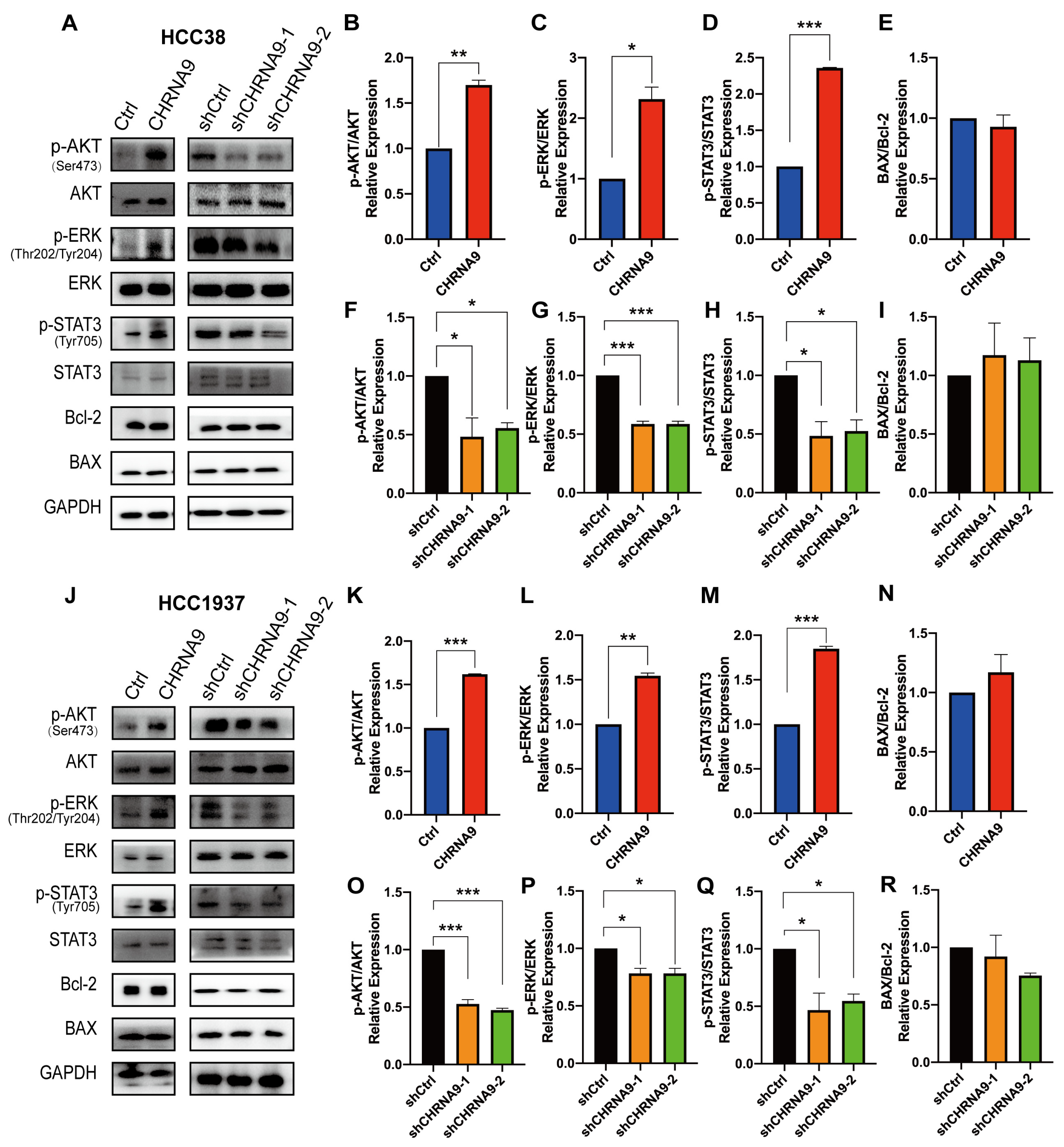 Biomolecules 15 00835 g003 Biomolecules 15 00835 g003