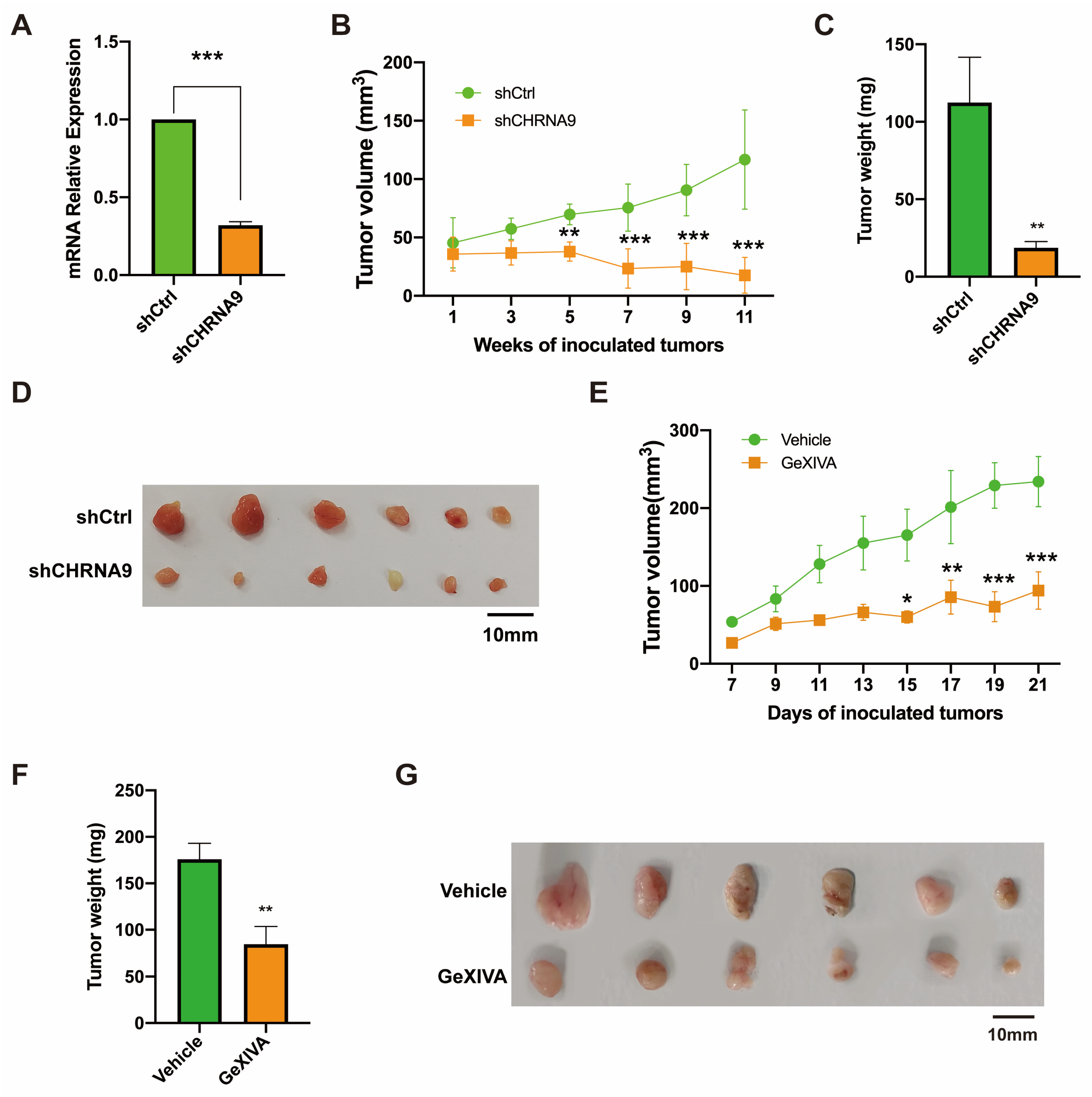 Biomolecules 15 00835 g006 Biomolecules 15 00835 g006