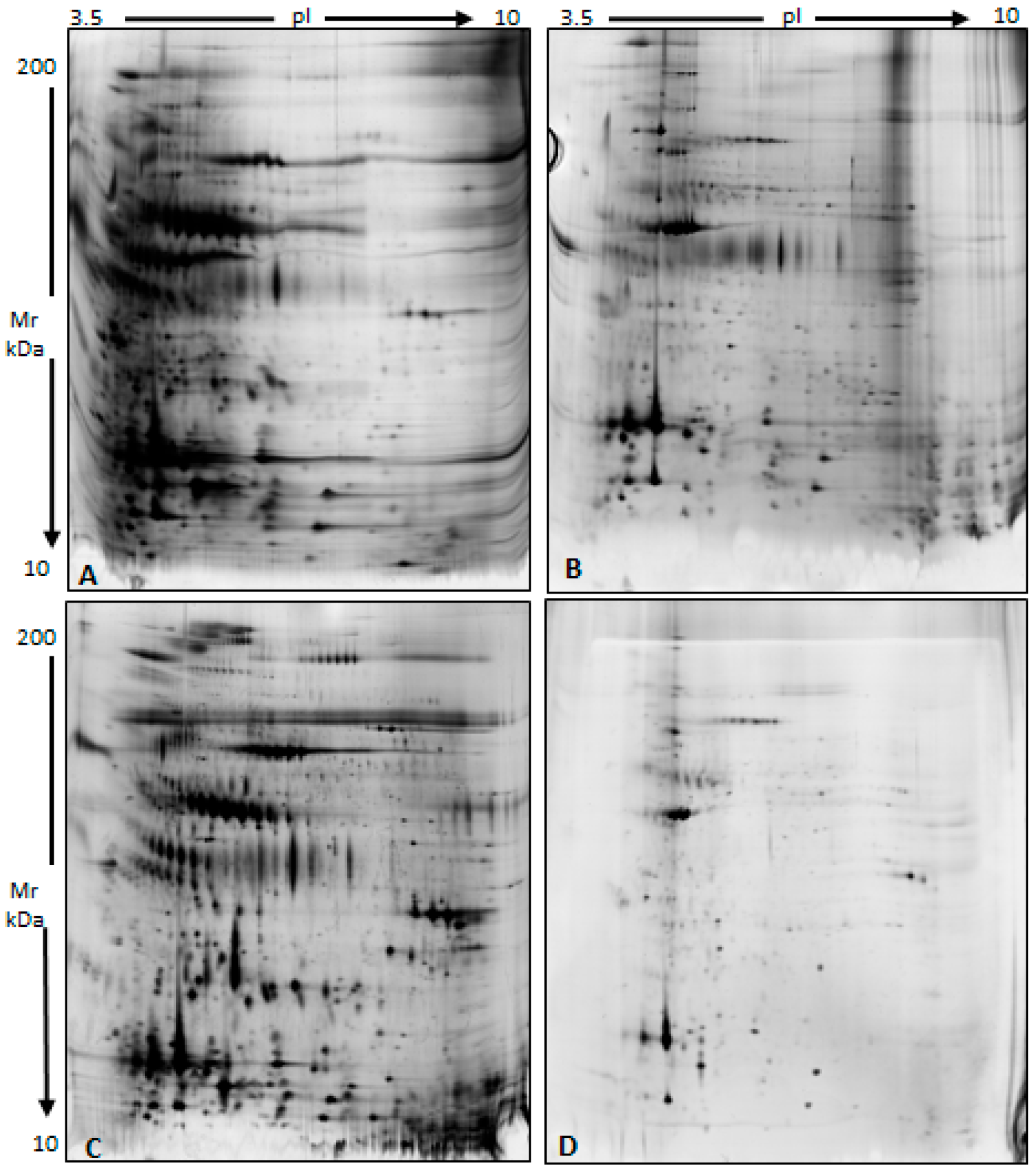 Biomolecules 15 00836 g002