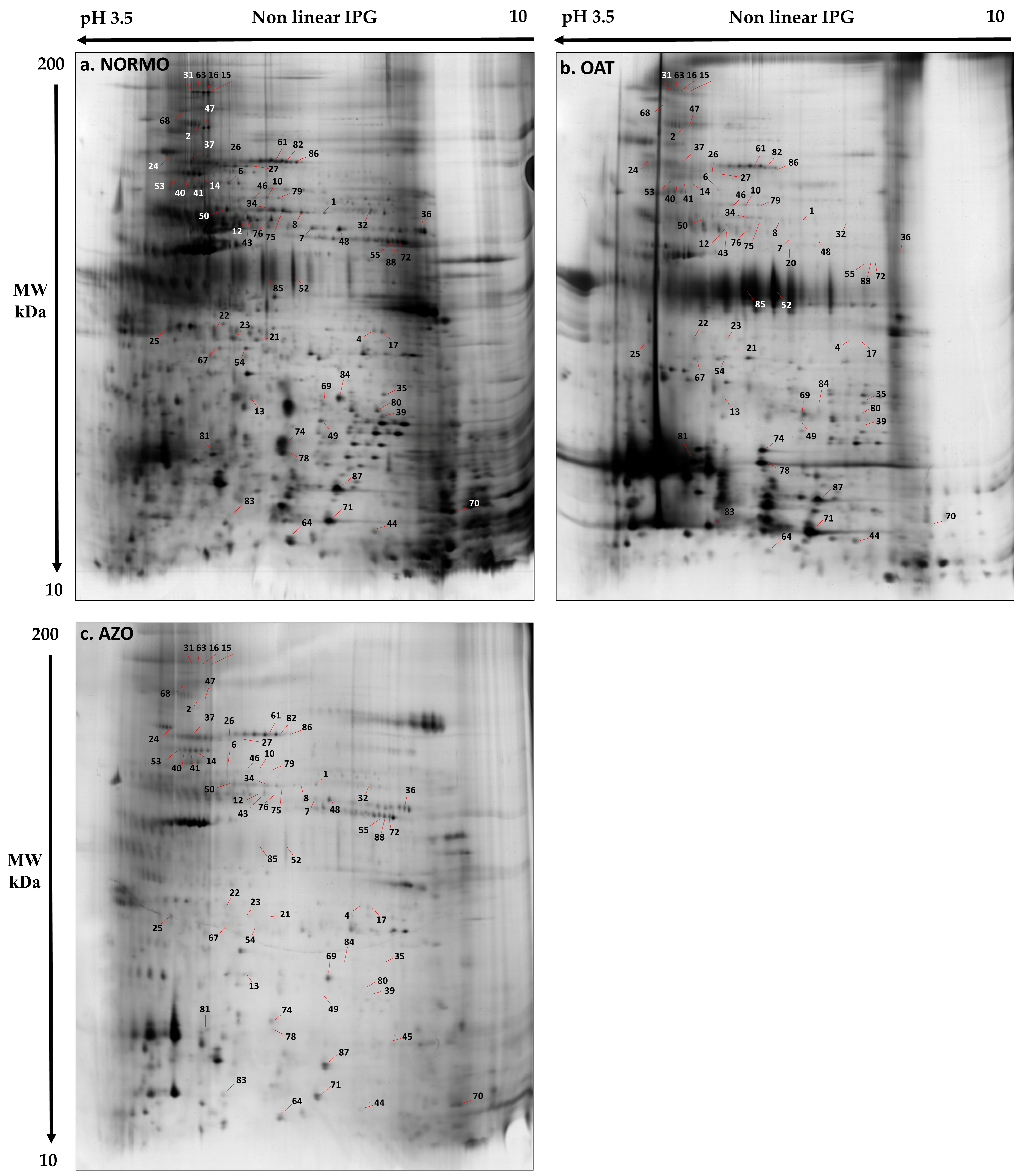 Biomolecules 15 00836 g004