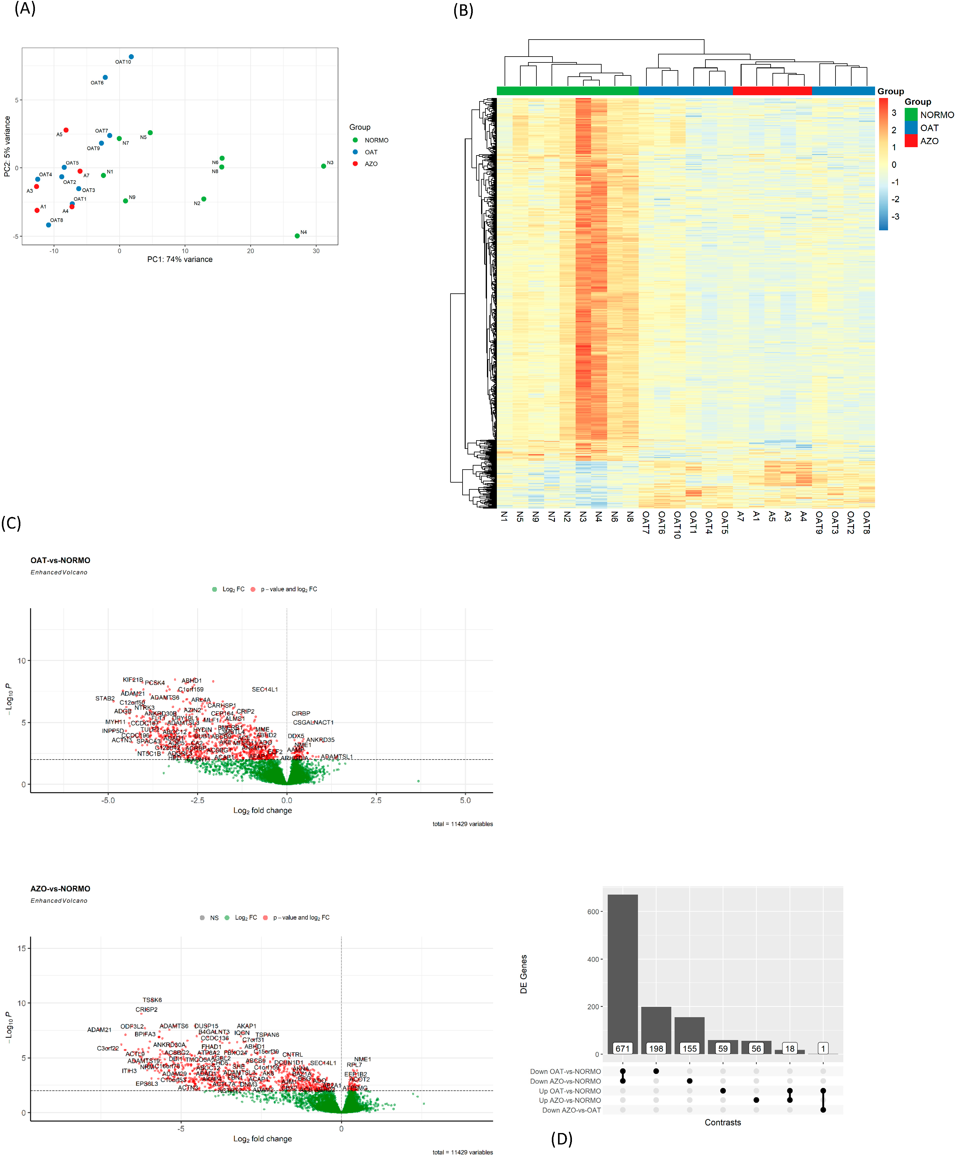 Biomolecules 15 00836 g008