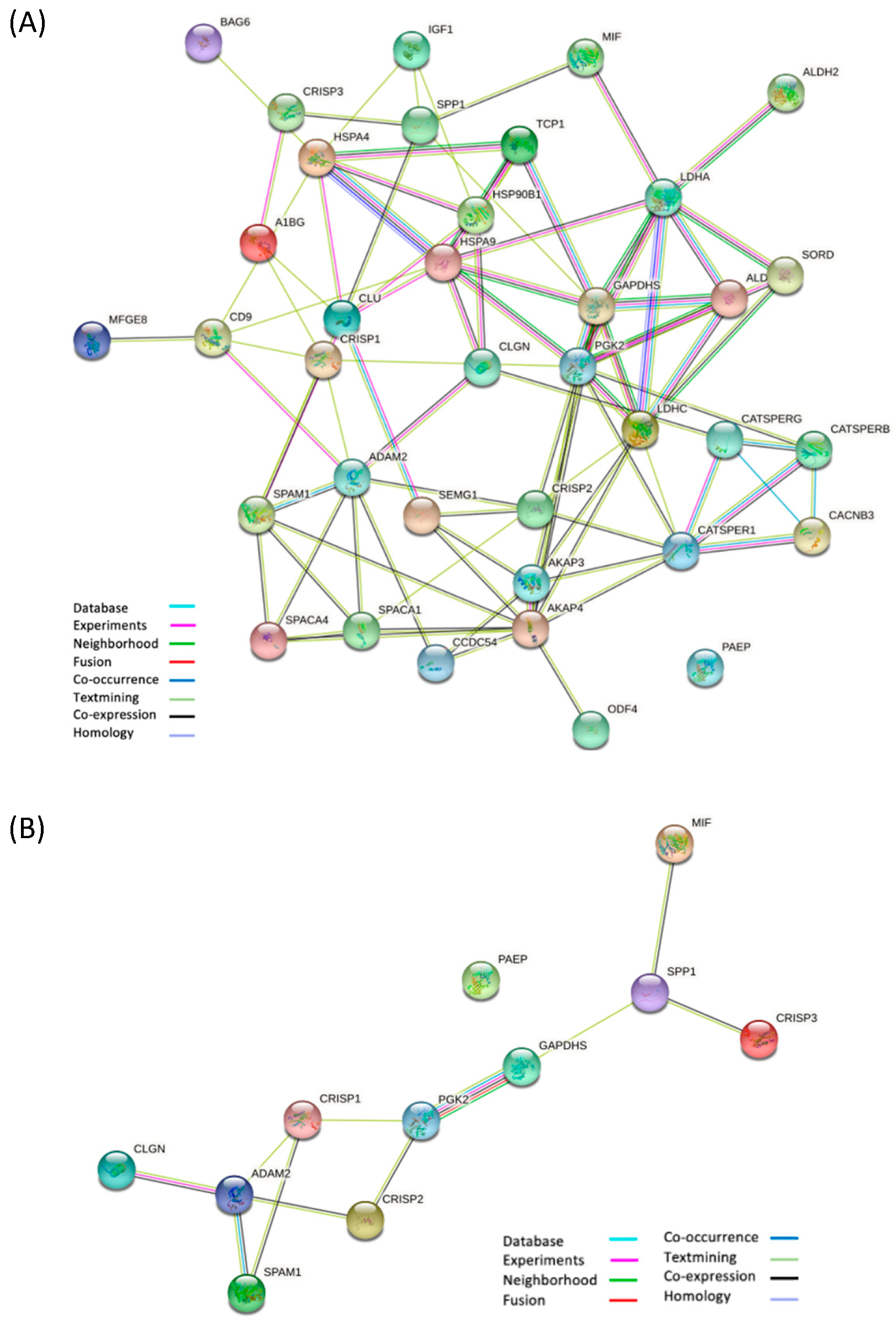 Biomolecules 15 00836 g010