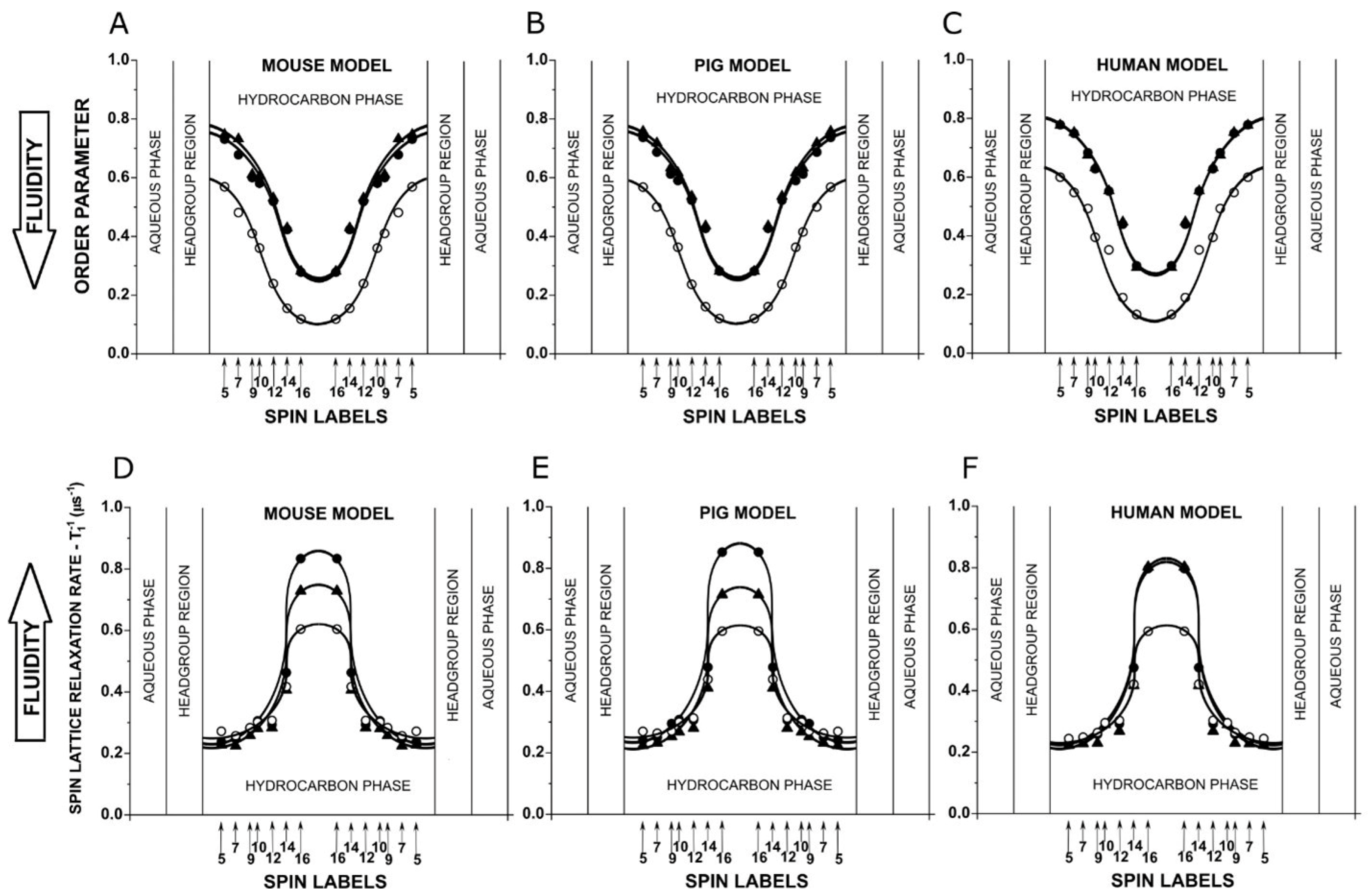 Biomolecules 15 00851 g001 Biomolecules 15 00851 g001