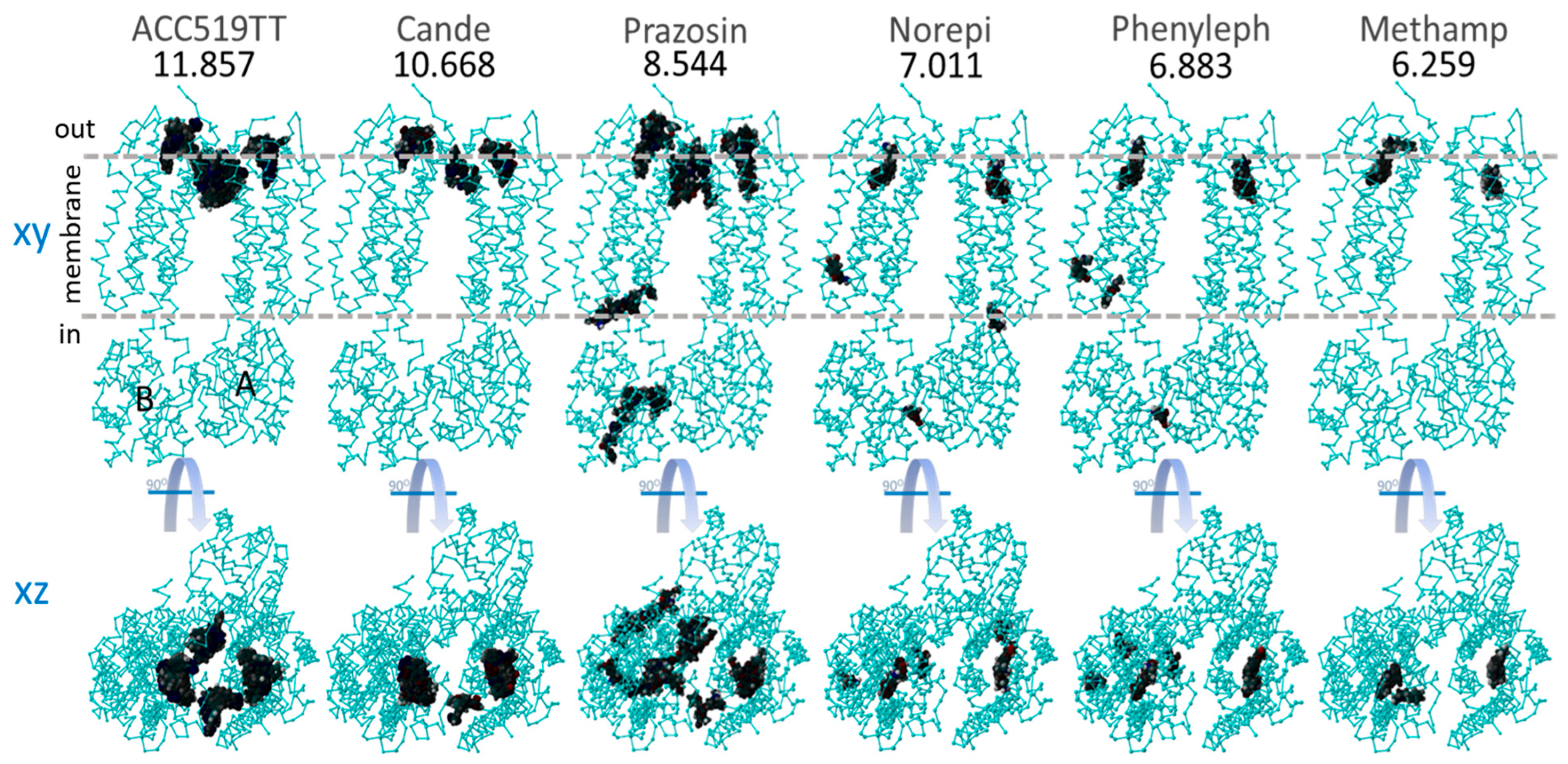 Biomolecules 15 00855 g006