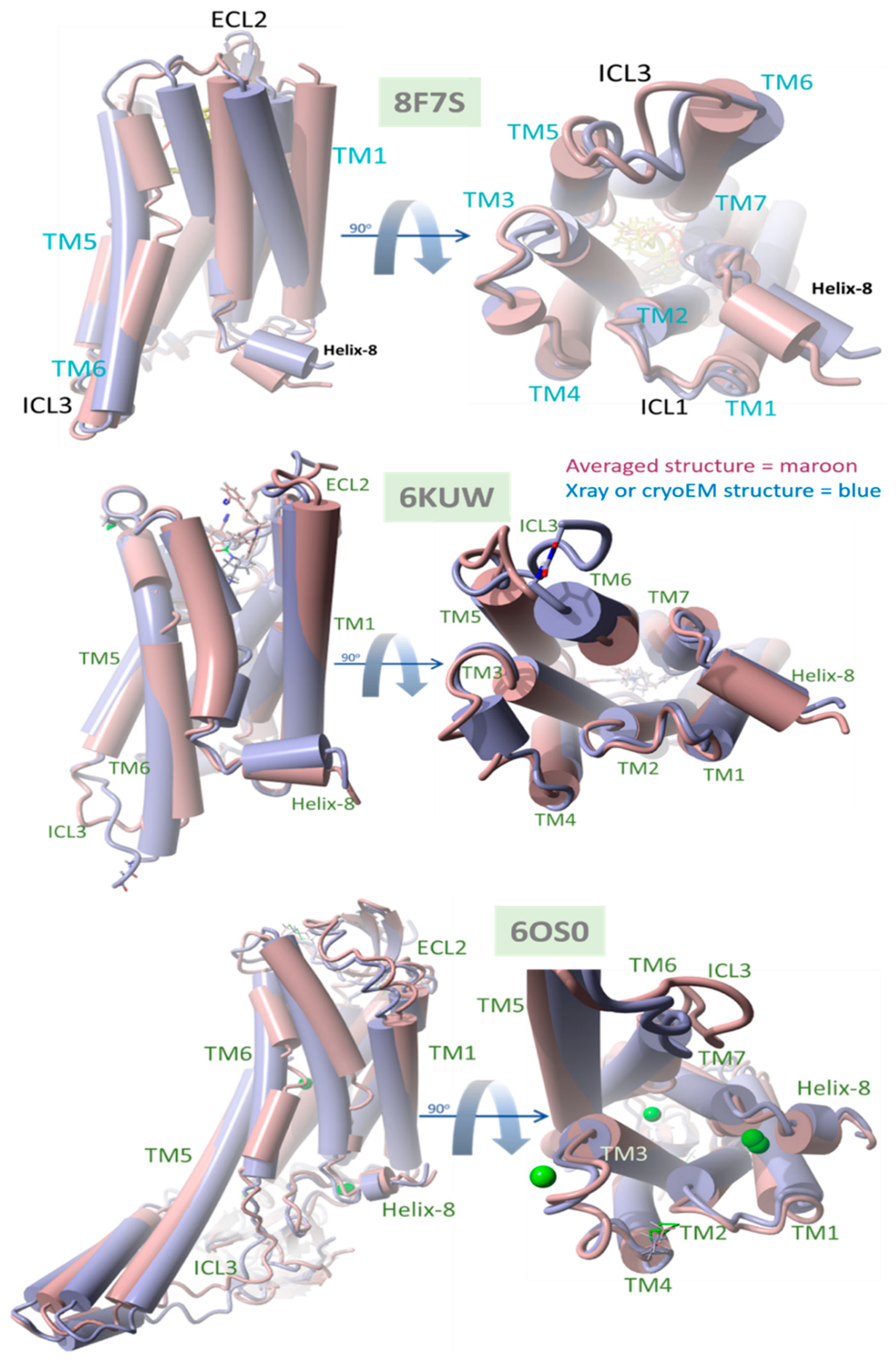 Biomolecules 15 00855 g011