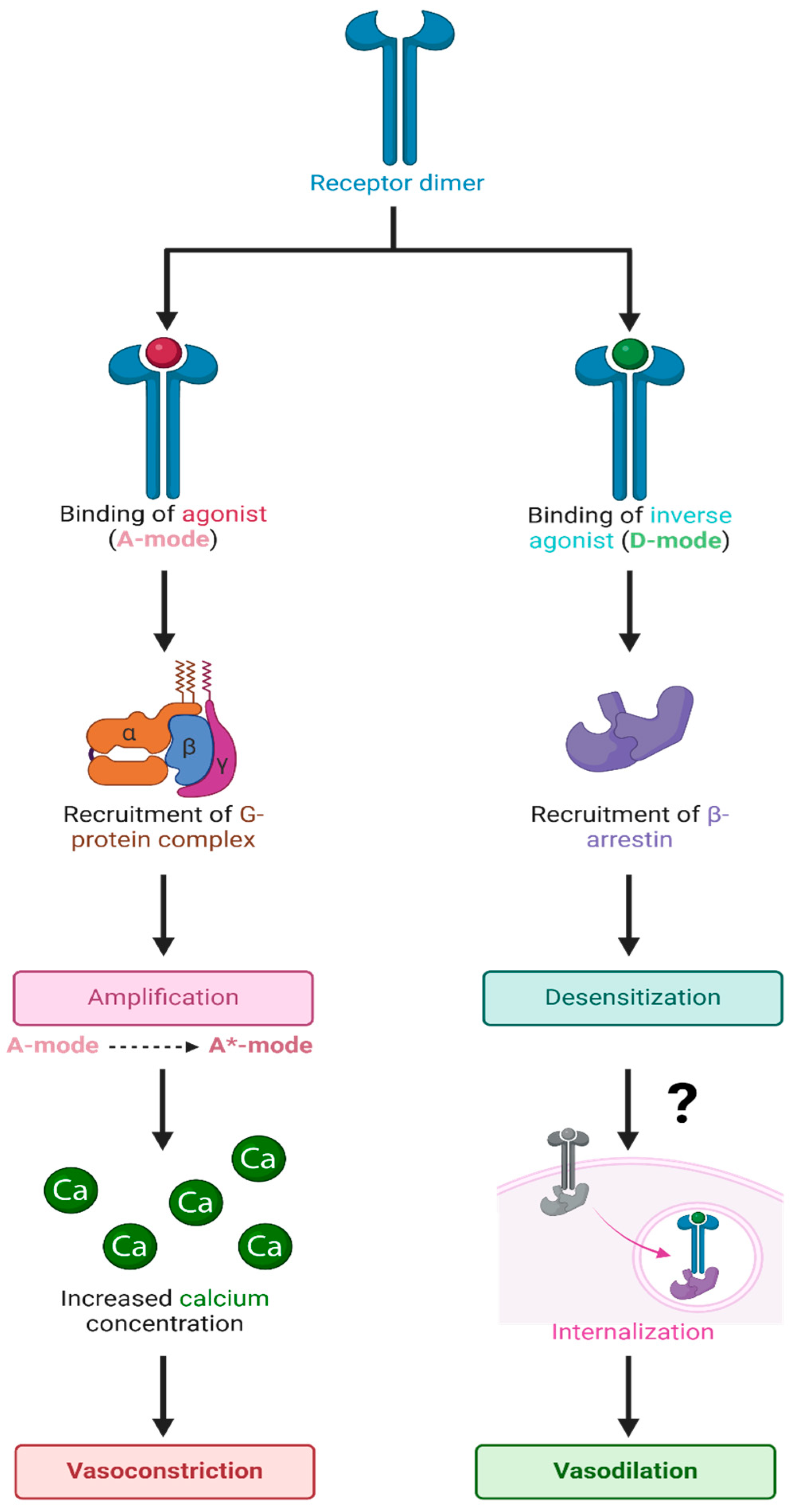 Biomolecules 15 00855 g012