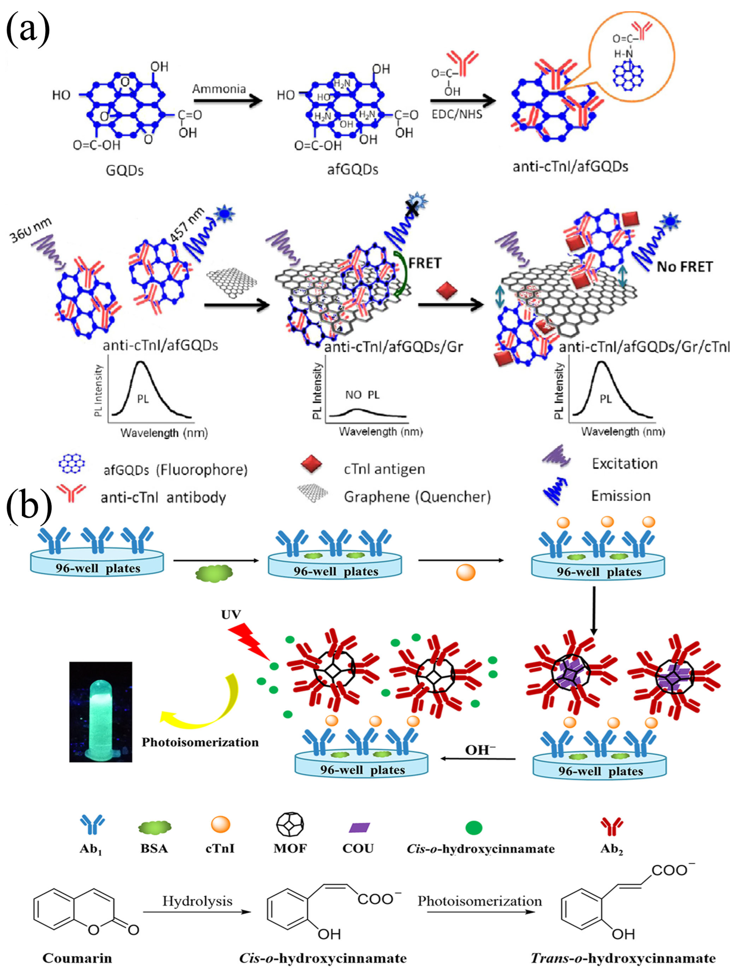 Biomolecules 15 00858 g001