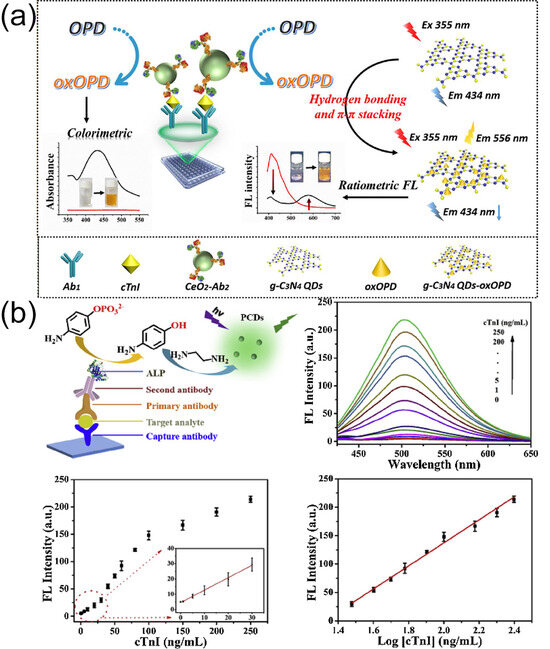 Biomolecules 15 00858 g002
